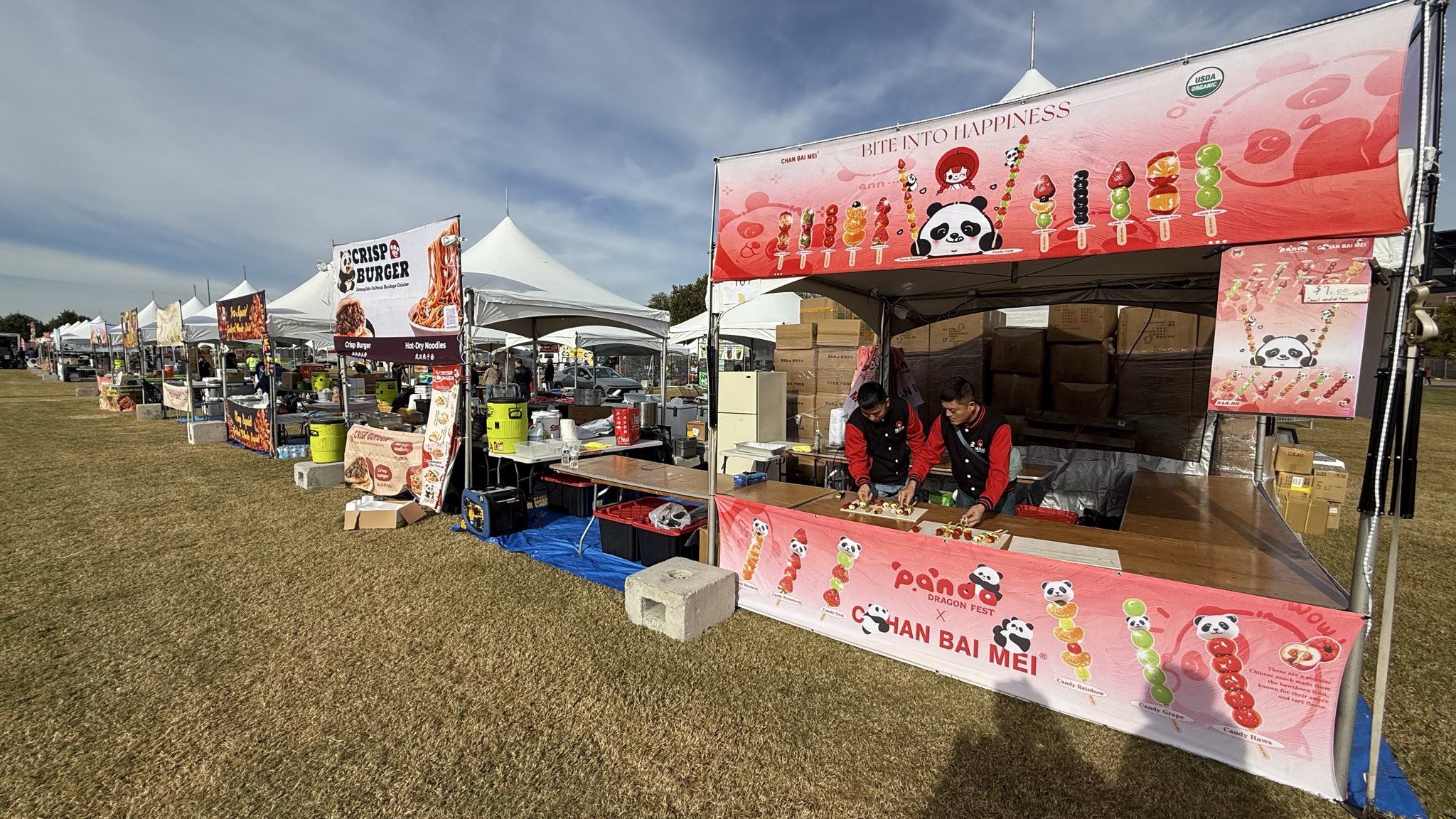 panda fest.jpg
