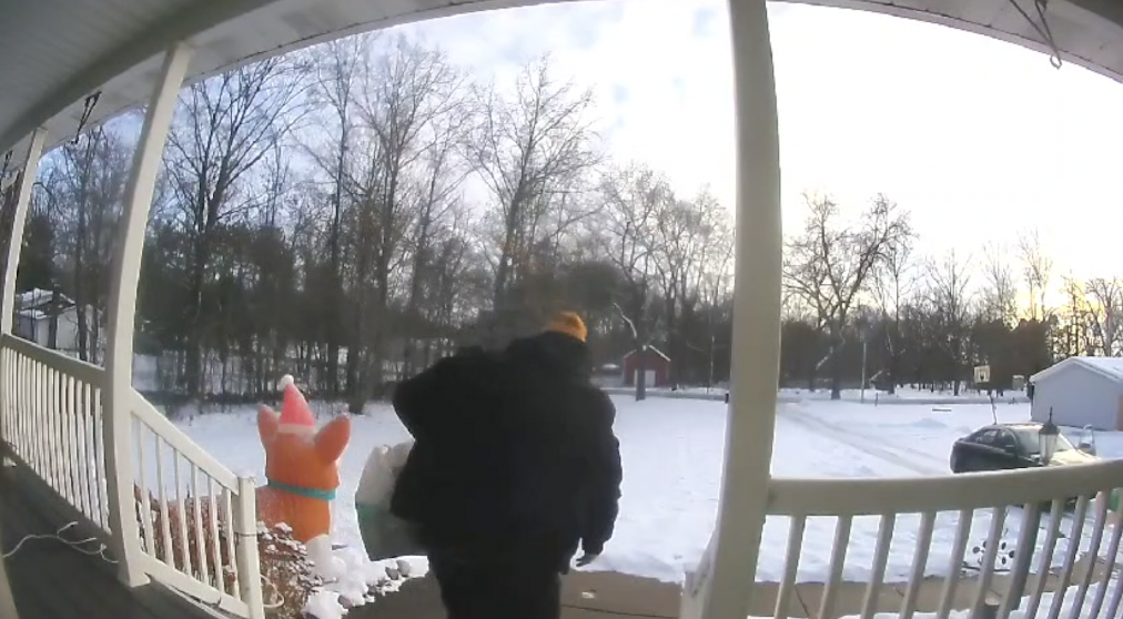 porch pirate pic.png