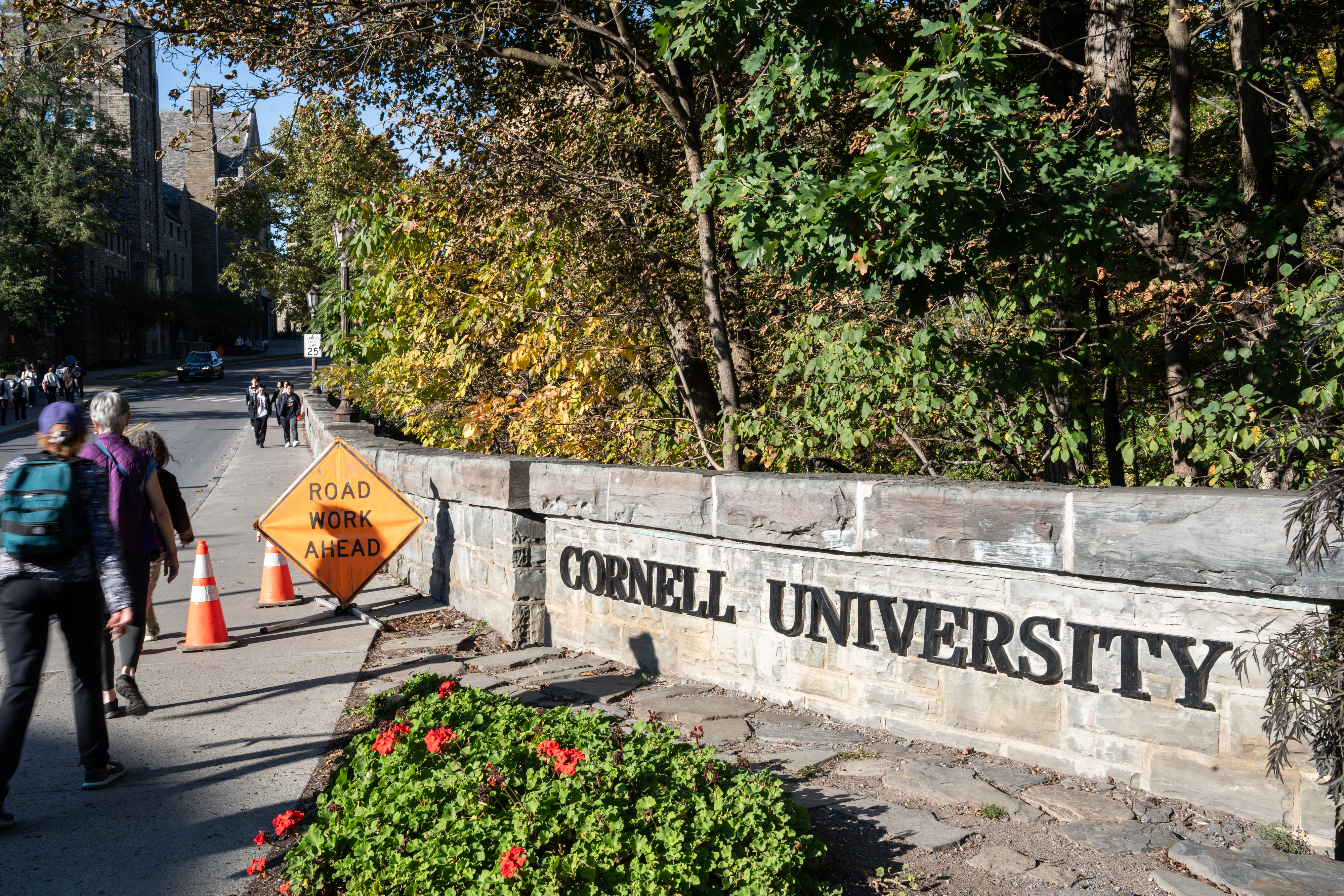 Cornell Investigation