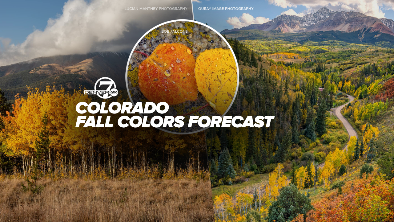 fallcolorspic.png