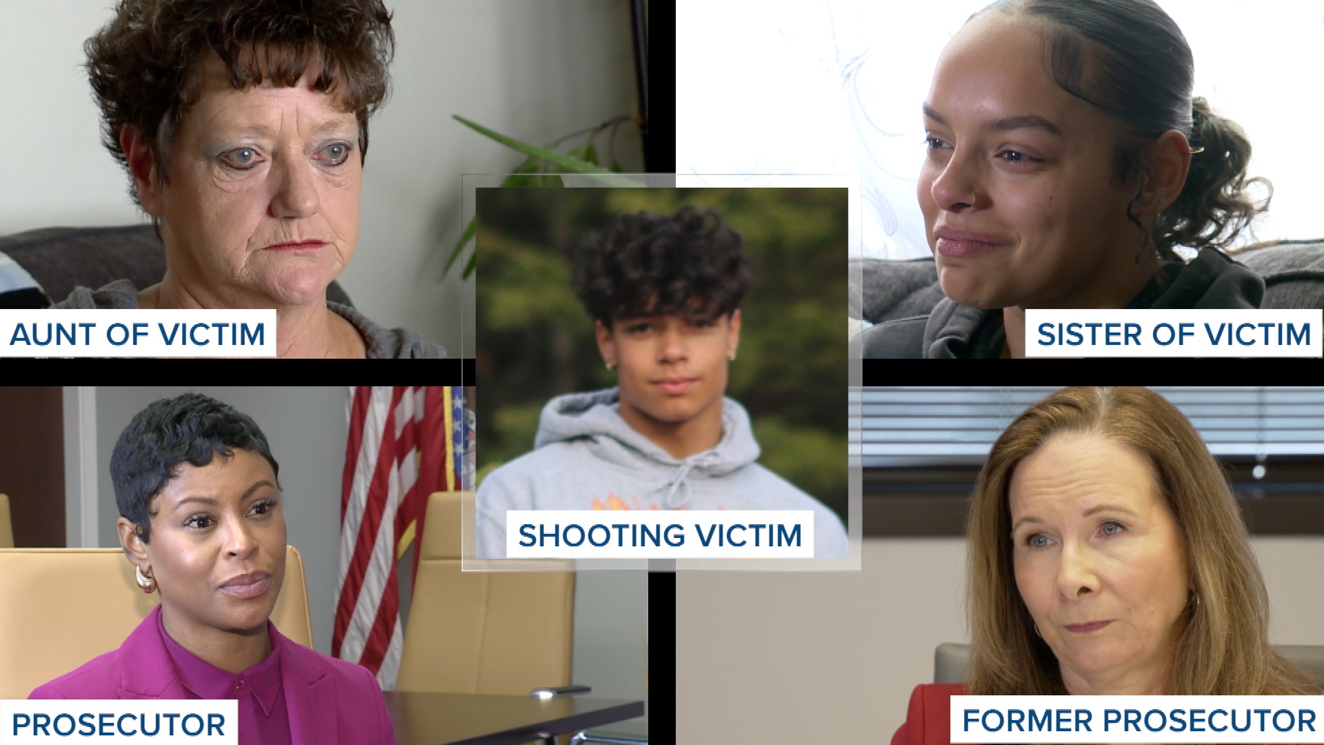 updated voices lily story.jpg