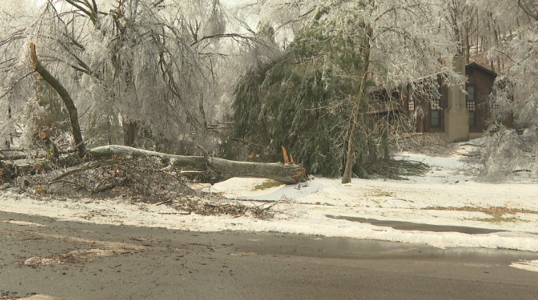 Oak Hill neighborhood struggles with storm damage, power outages near Radnor Lake