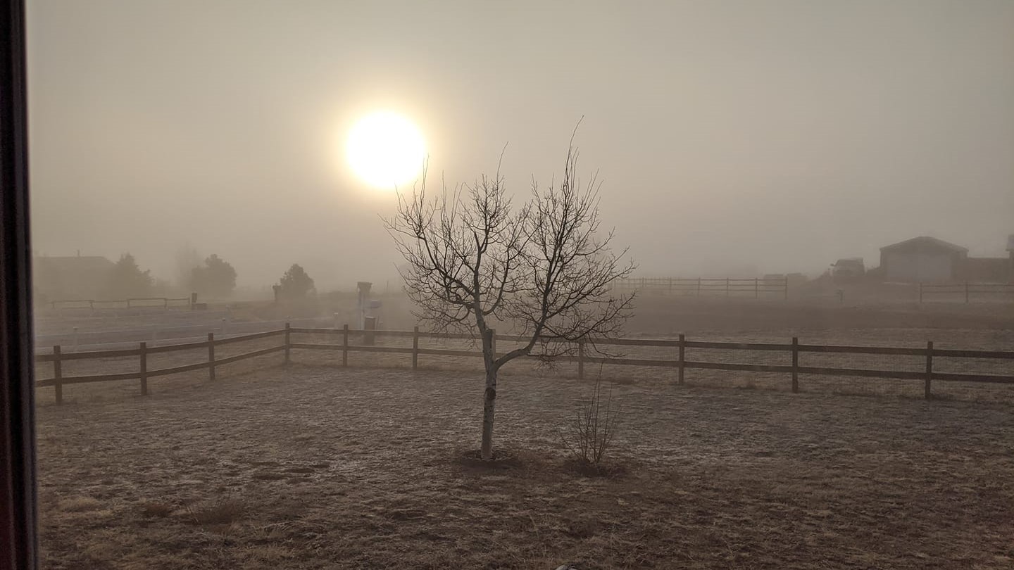 Peyton, CO frosty morning Michelle Kemp