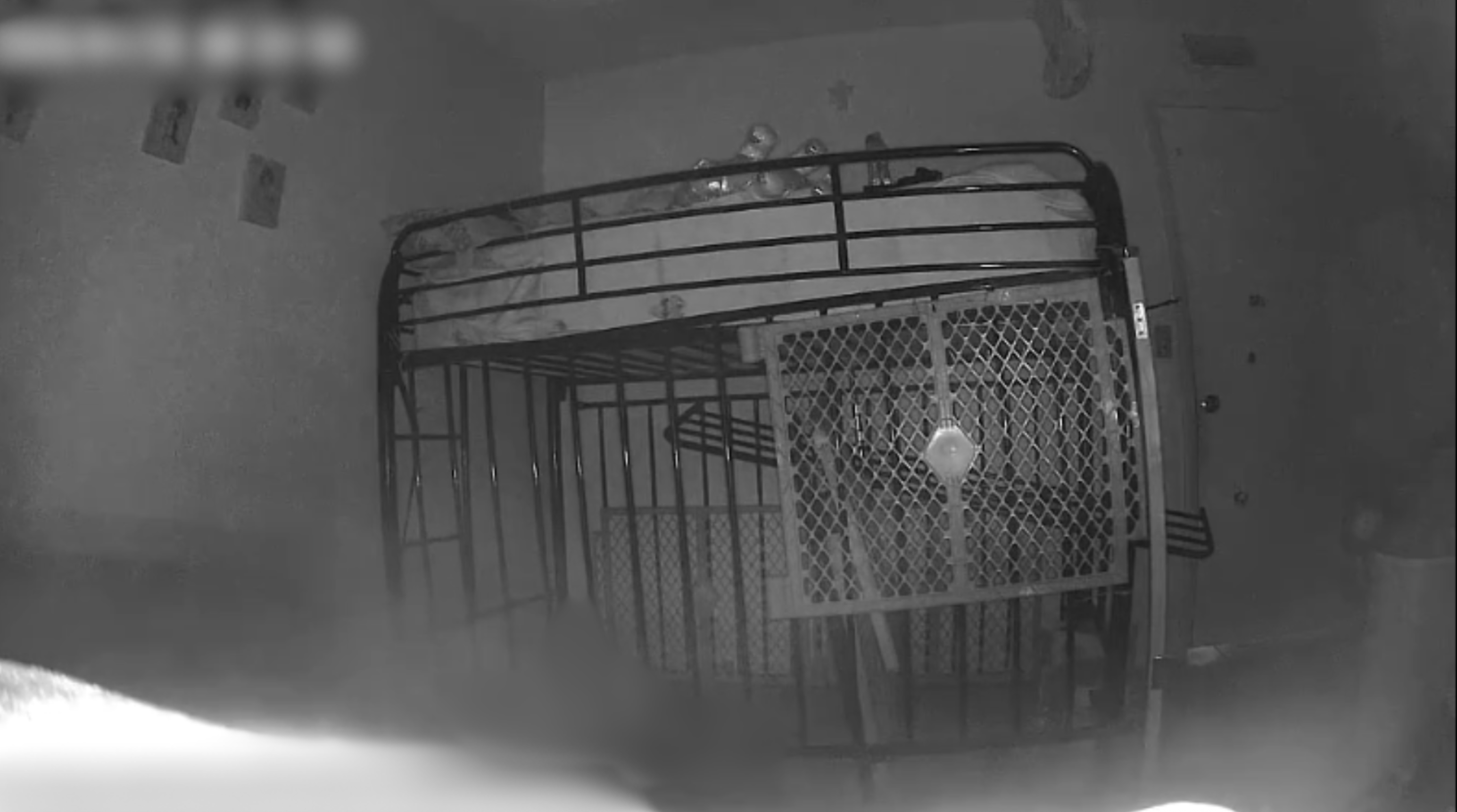 Makeshift cage Tempe investigation 