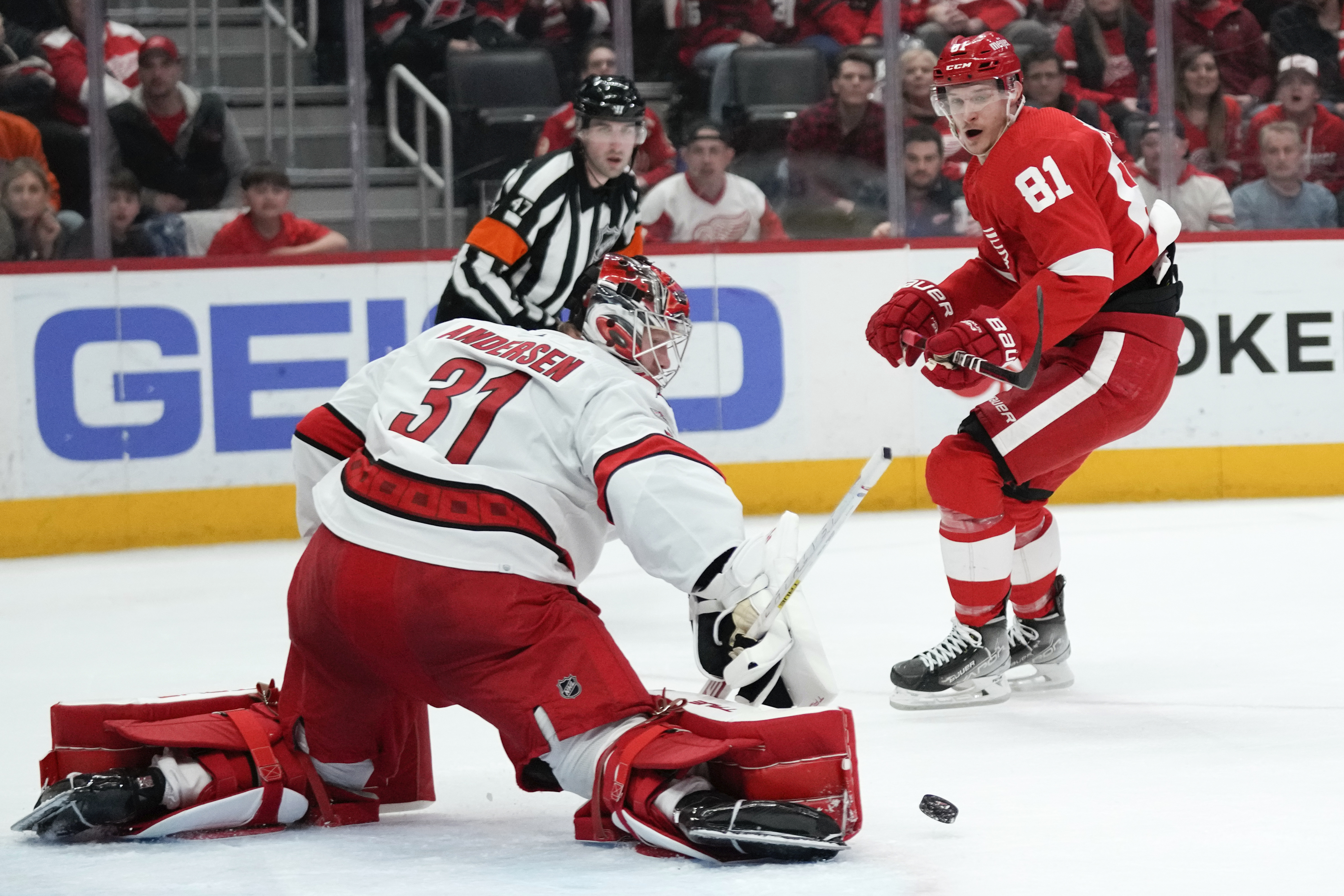 Hurricanes Red Wings Hockey