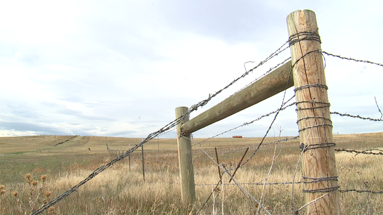 Screenshot 2025-10-10 at 4.20.37 PM.png