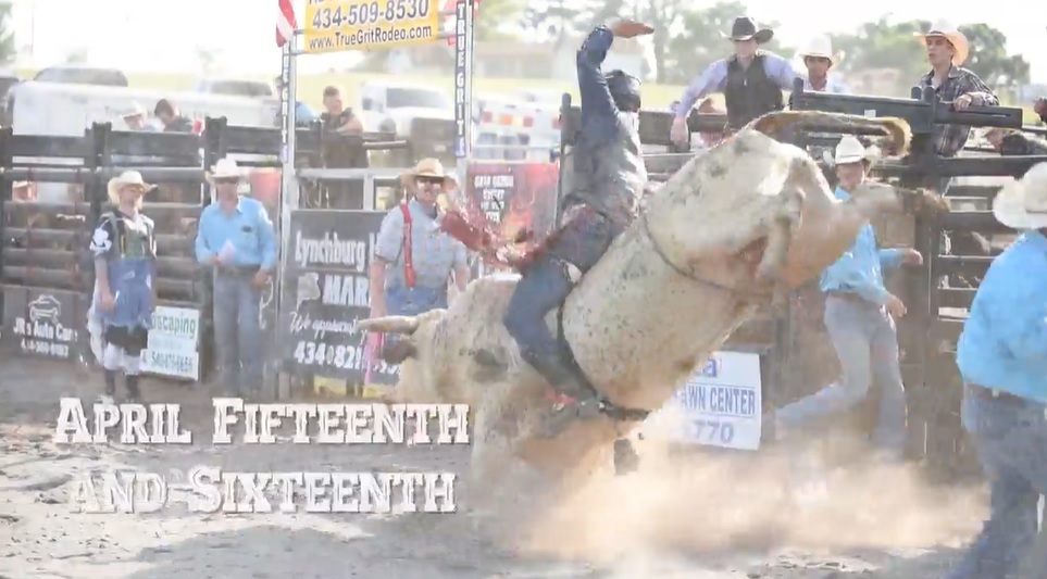 bulls and barrels 2.jpg