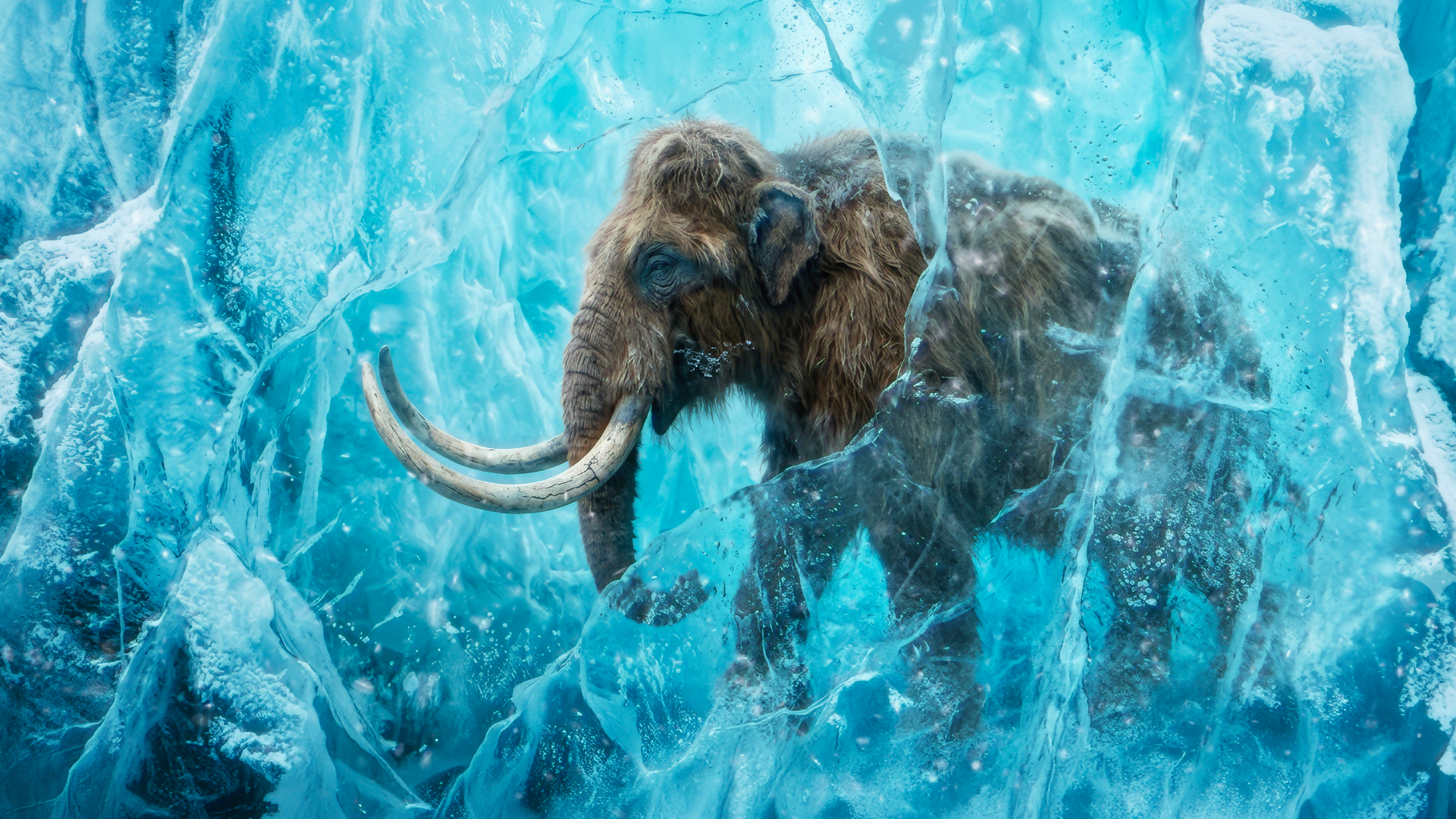 Ice-Age-Invasion.png
