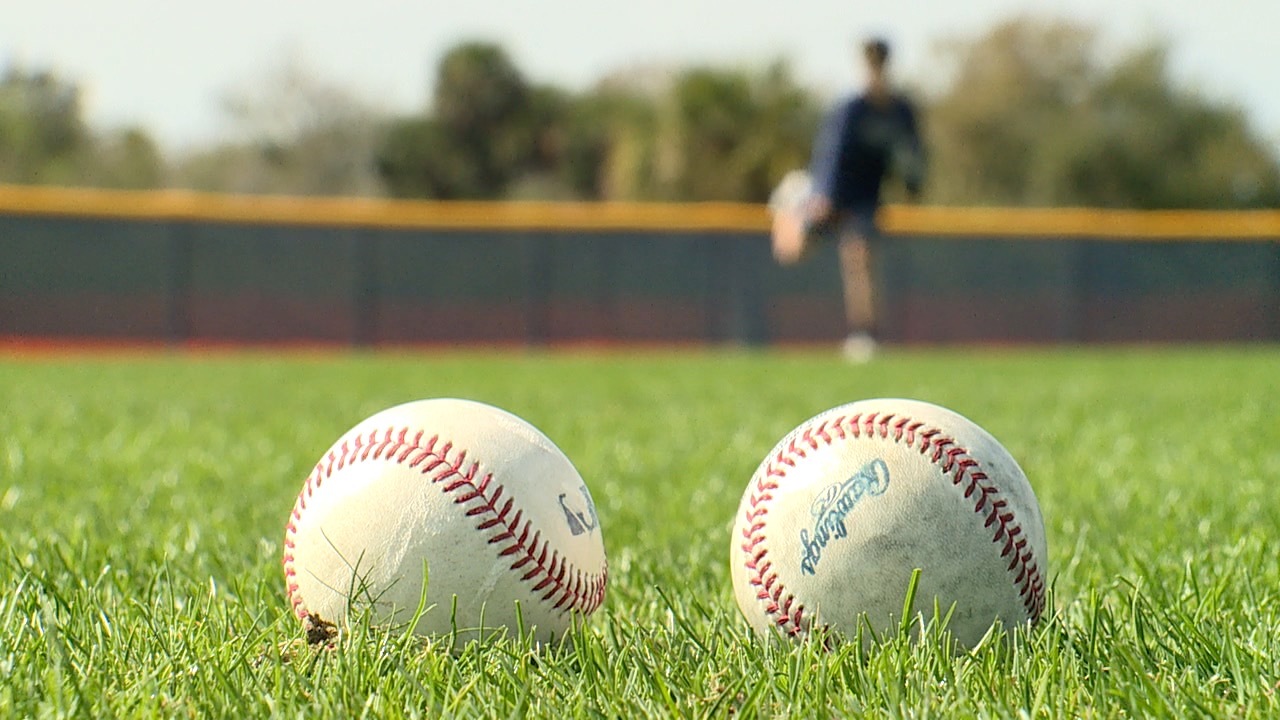 2024 Tampa Bay Rays Spring Training