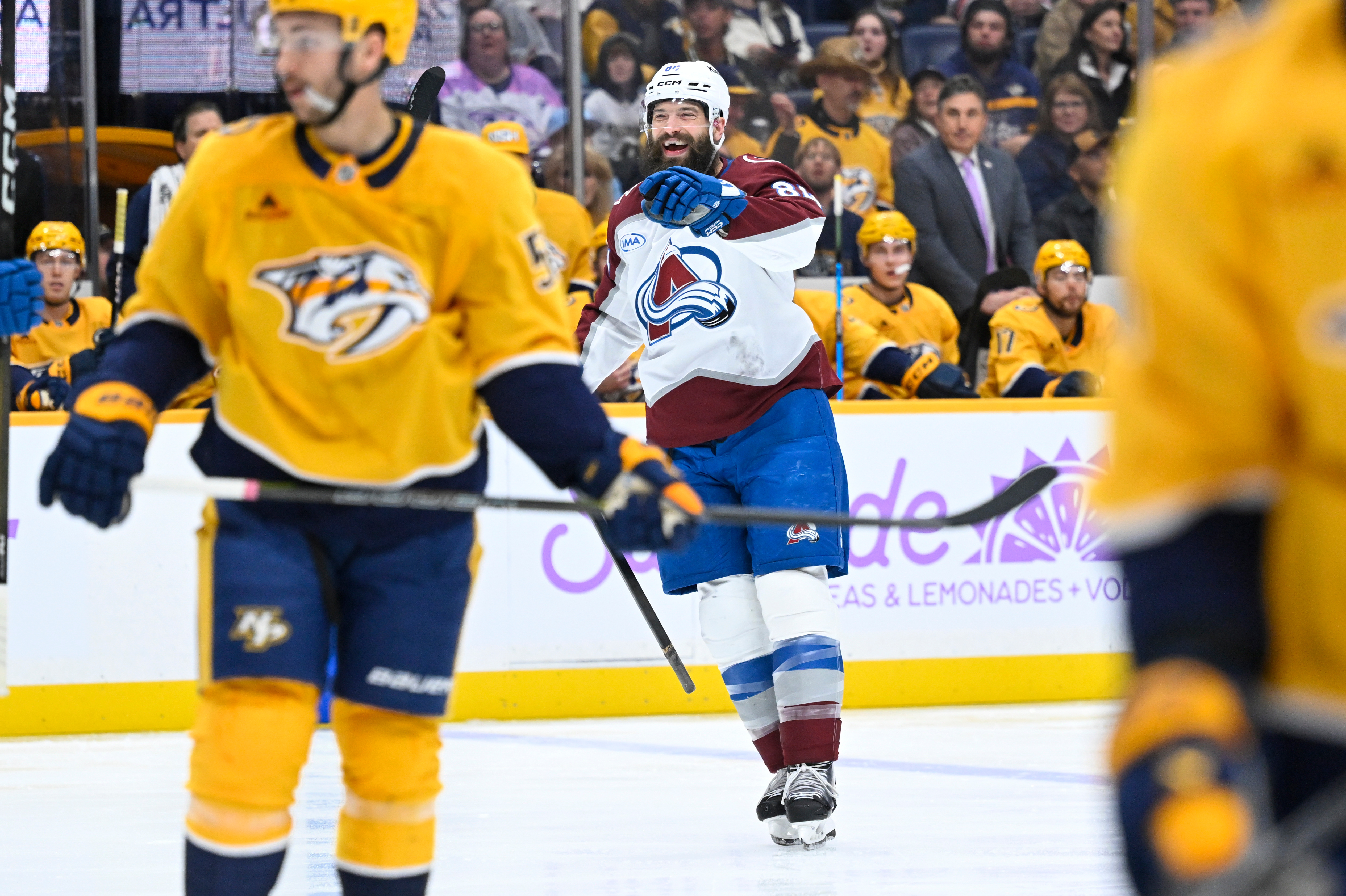 Avalanche Predators Hockey