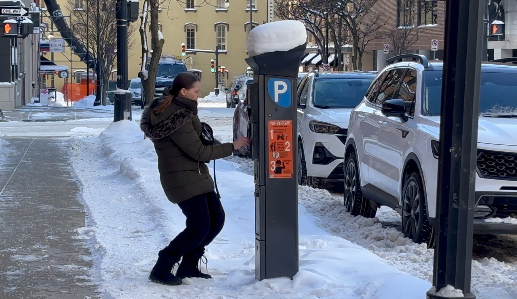 grand rapids parking 3.png