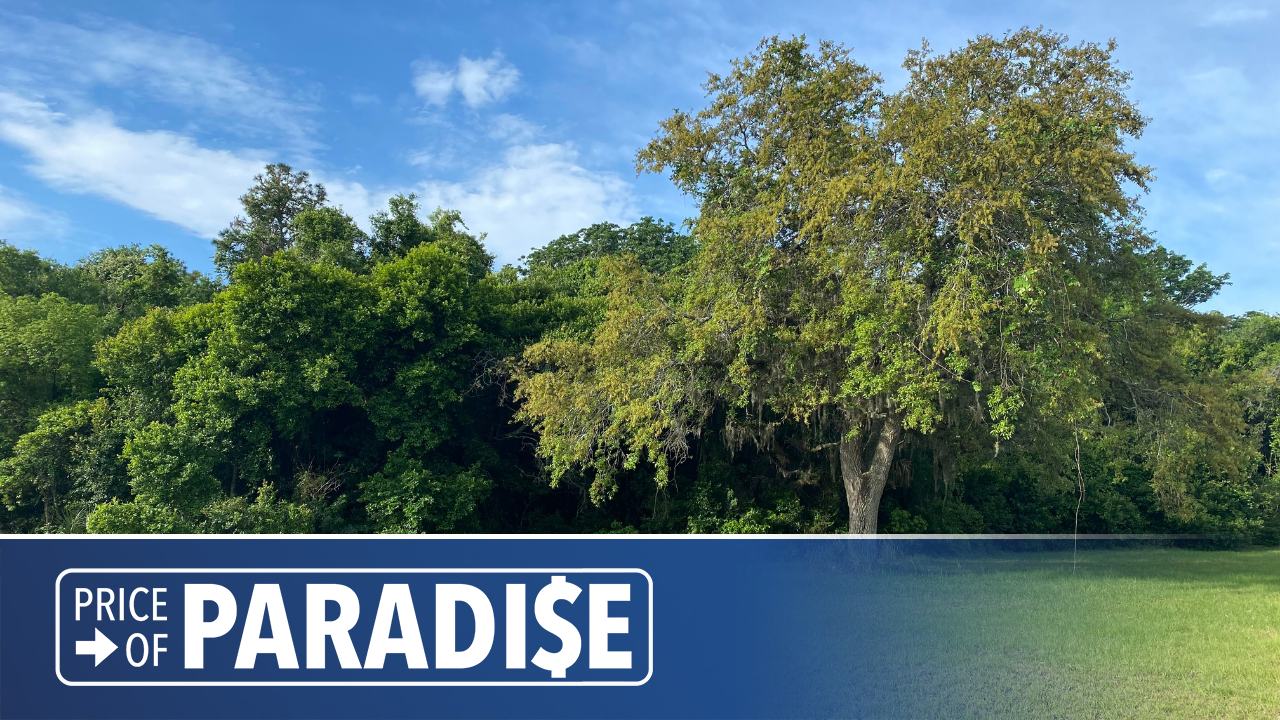 PoP New Port Corners development WFTS