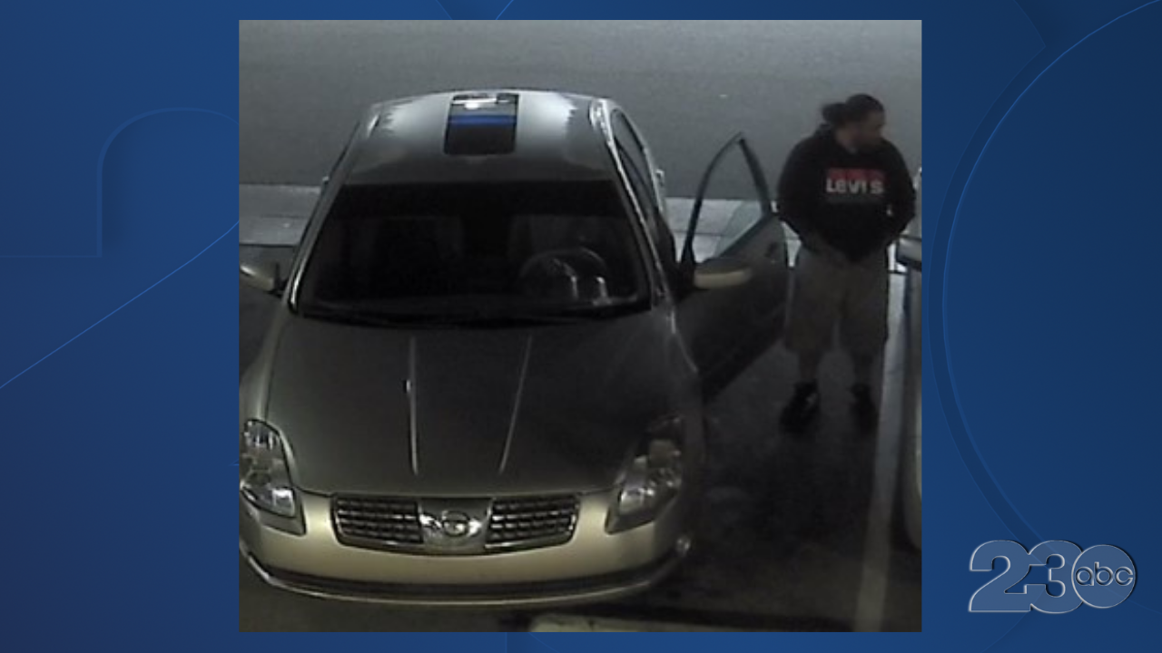 Car Theft
