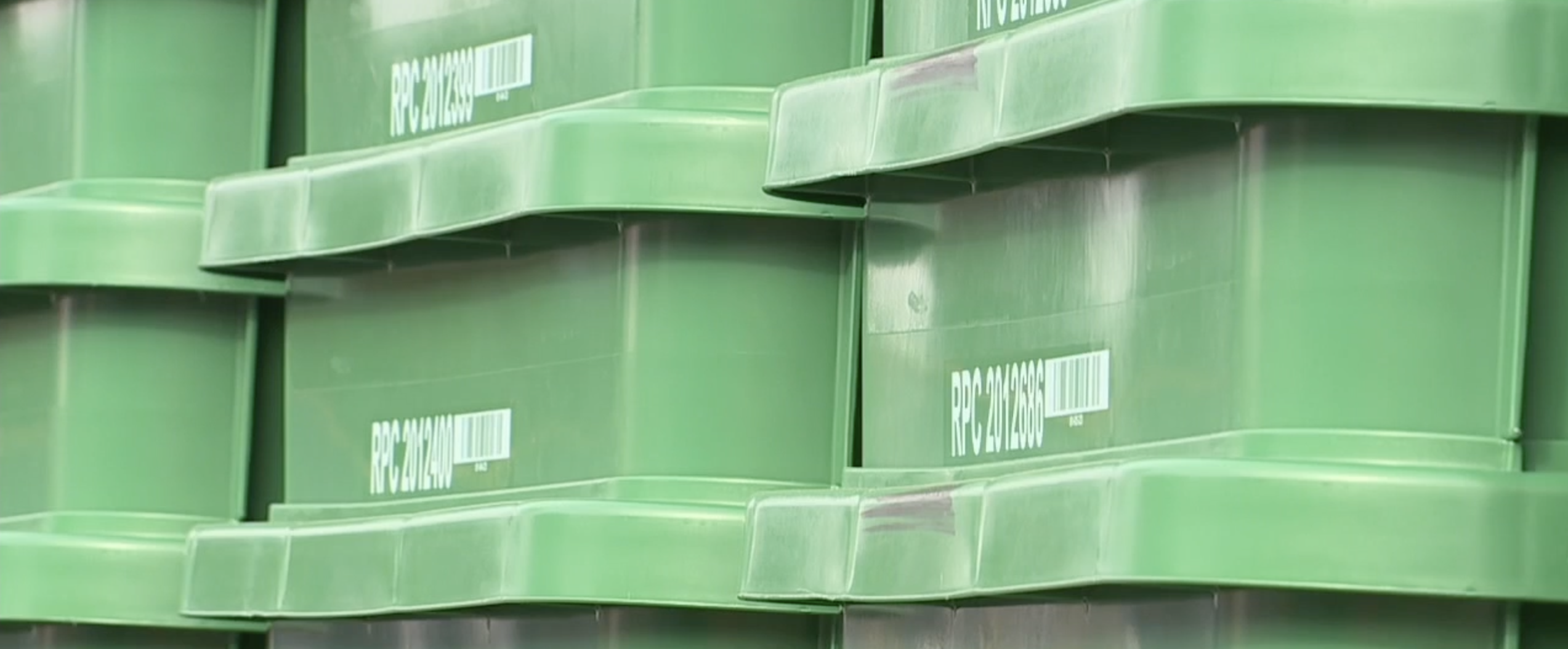 green bins rollout