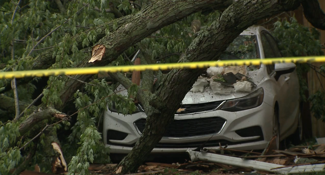 Kzoo Damage 2.png