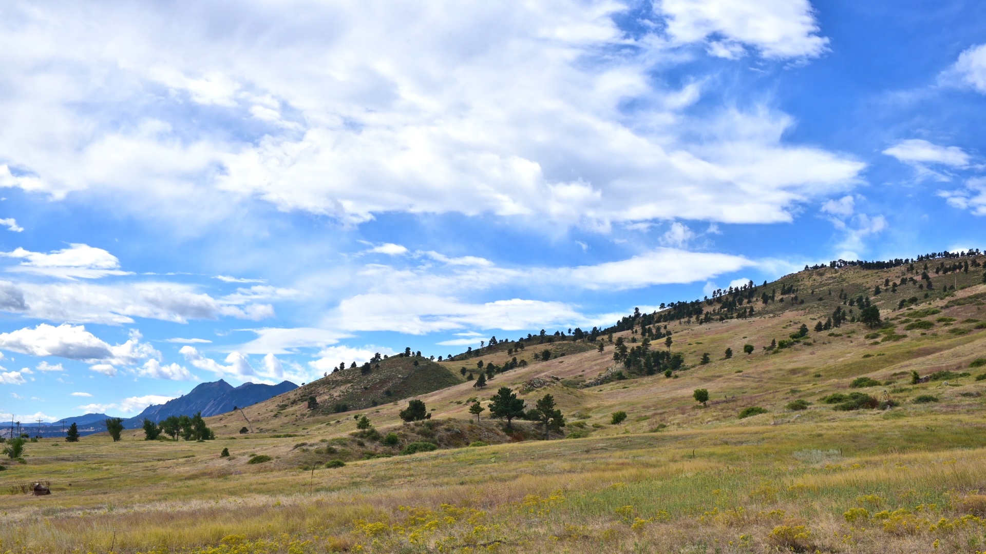 Boulder County Open Space and Mountain Parks_North SKy Trail area