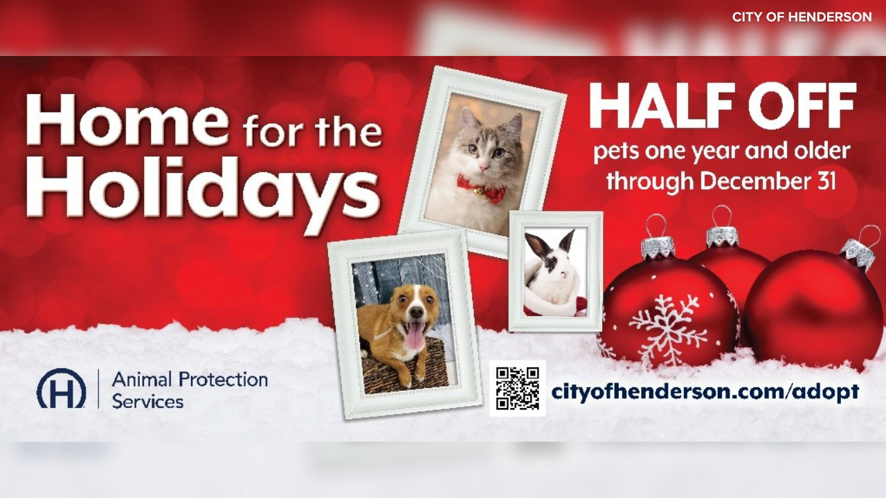 HOME FOR THE HOLIDAYS ADOPTION EVENT HENDERSON