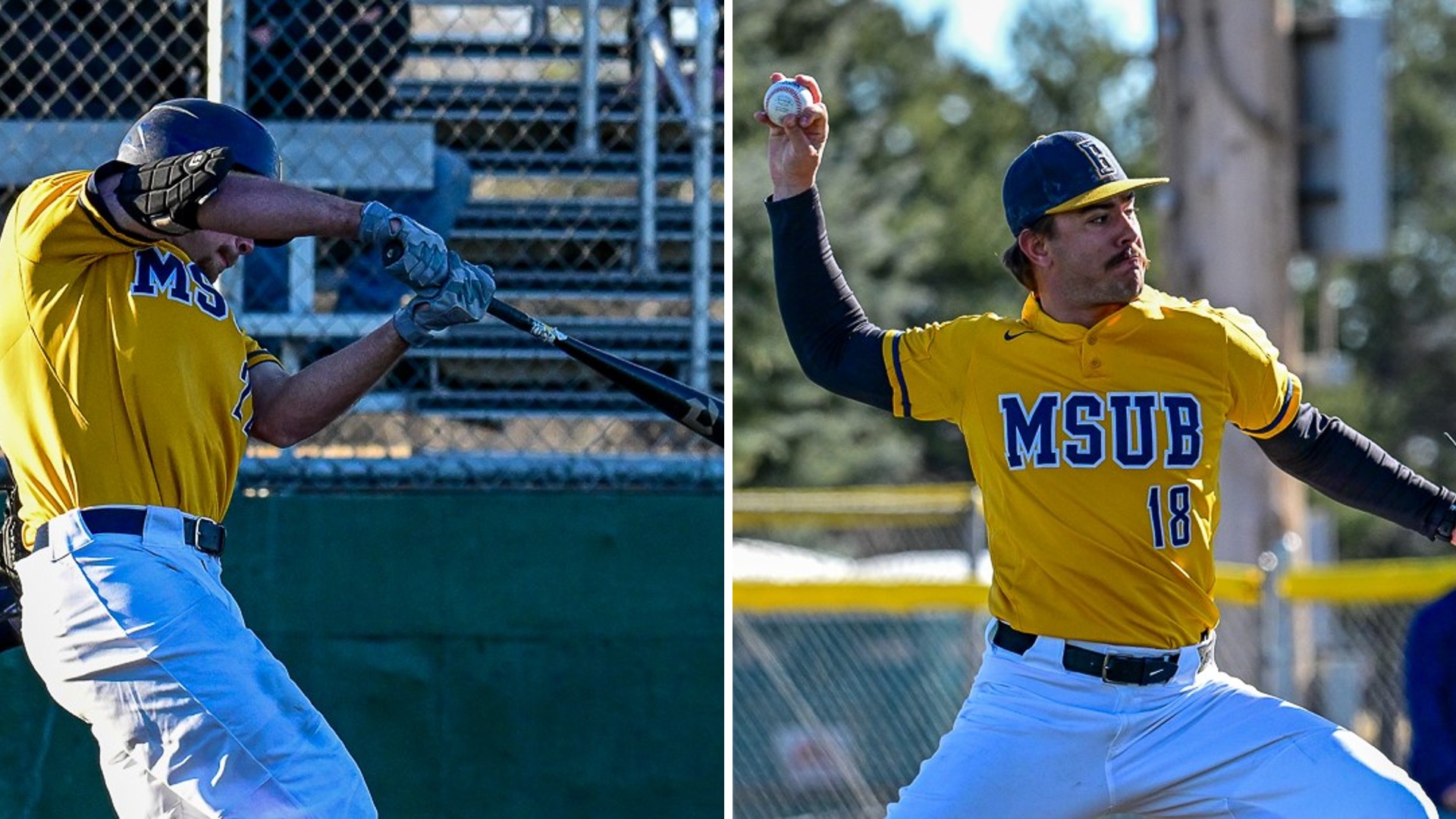 MSU Billings baseball