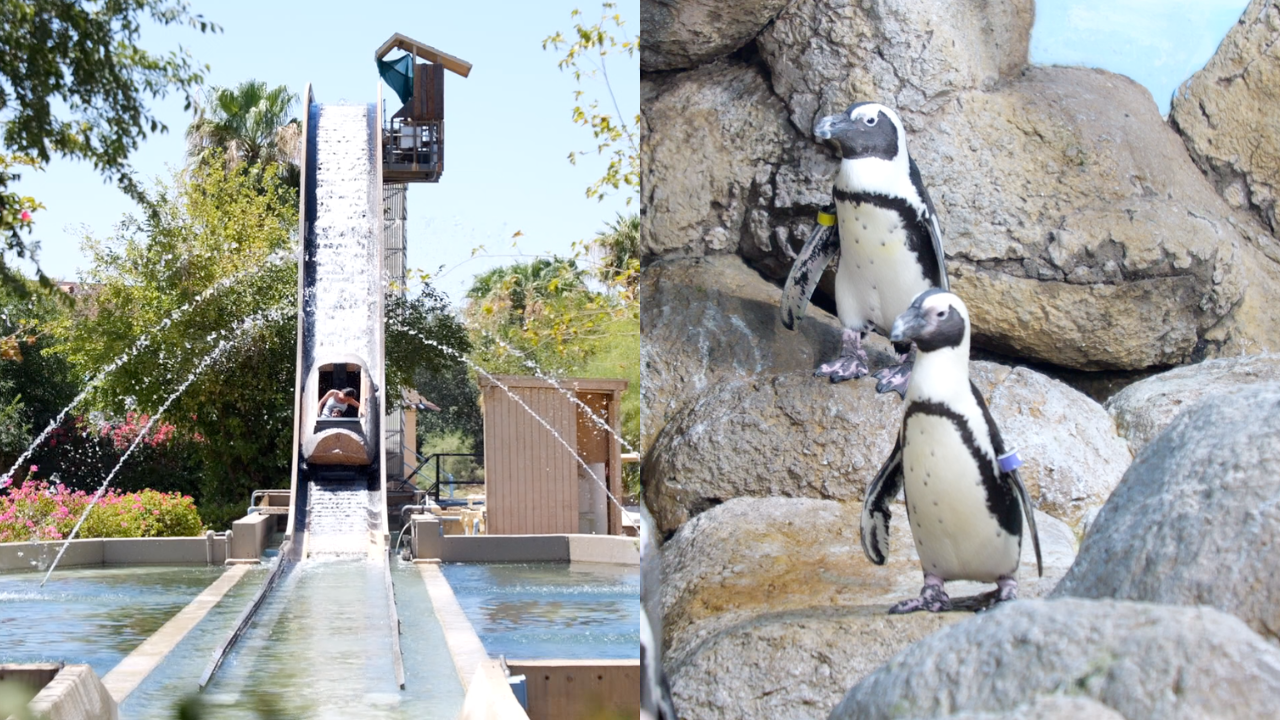 Wildlife World Zoo