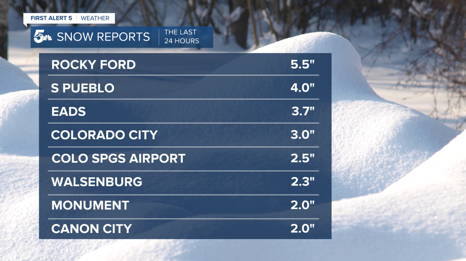Snowfall totals
