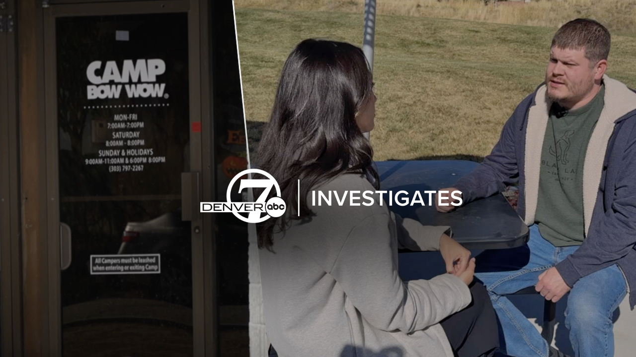 camp bow wow d7 investigates.png