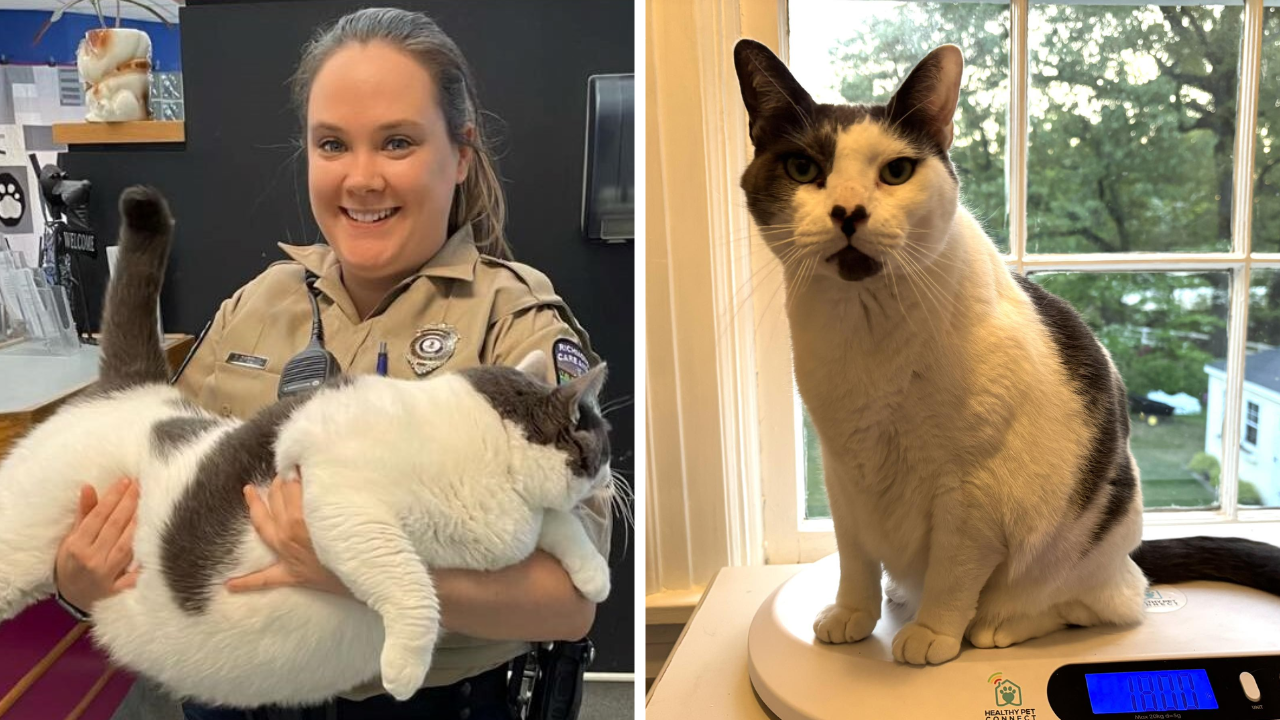 taylor thumbnails - 2026-04-20T152820.236.png