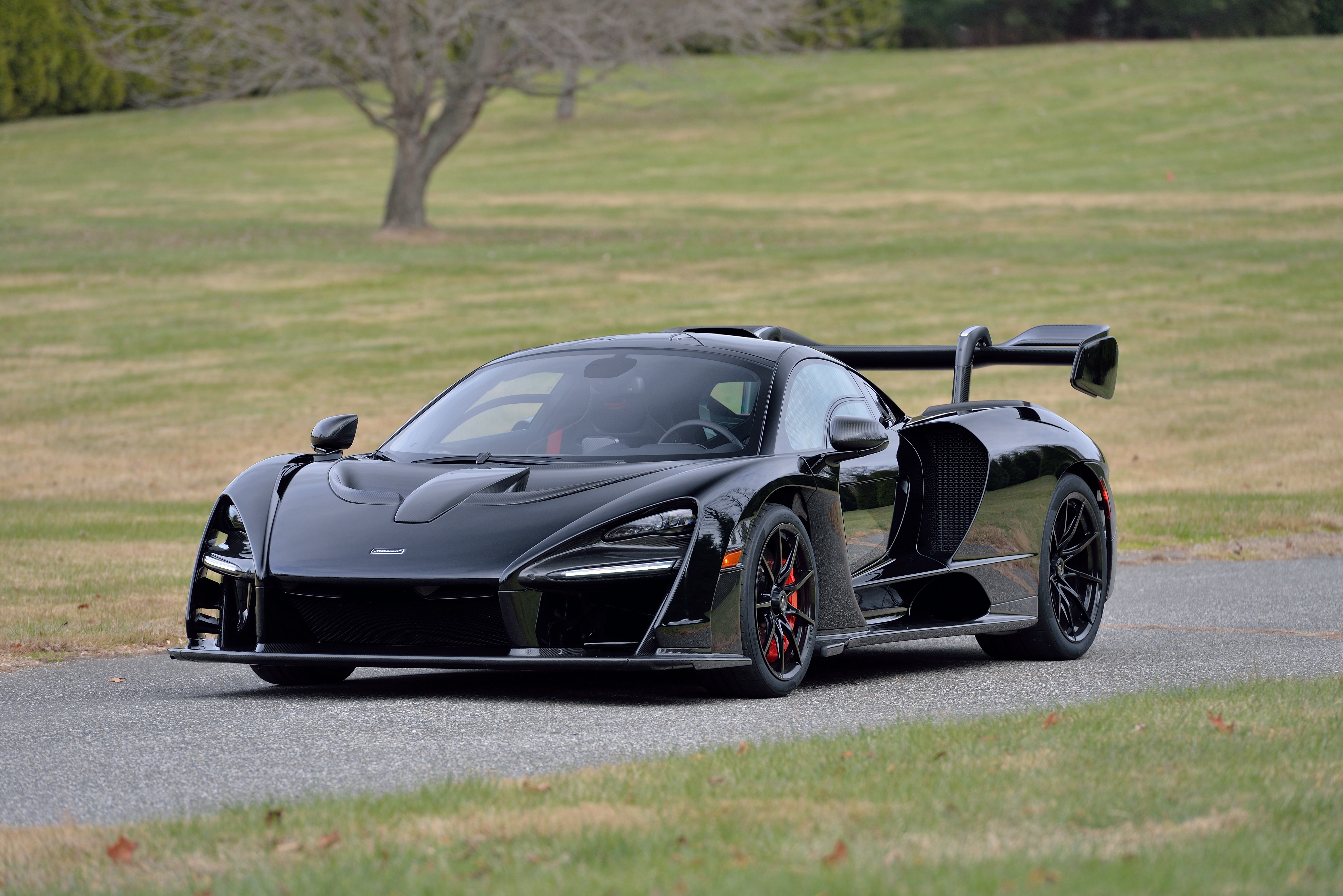 sc20mecum-glendale-20202019-mclaren-sennas110.jpg