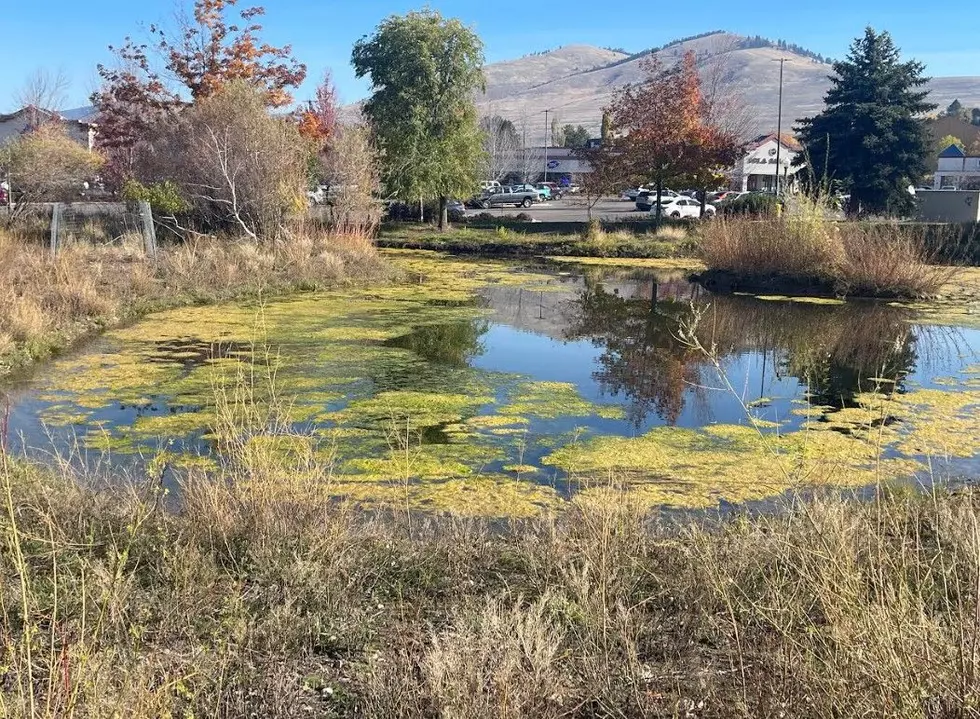 Missoula stormwater retention pond