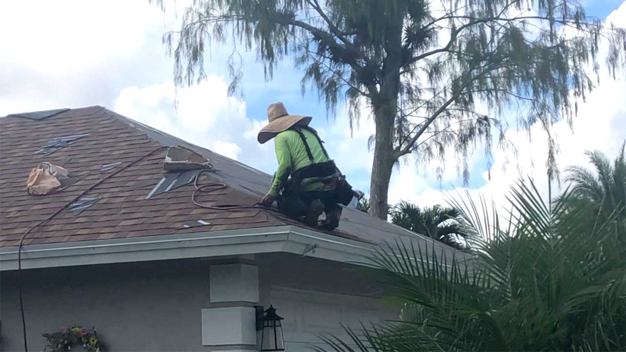Roof, roofer