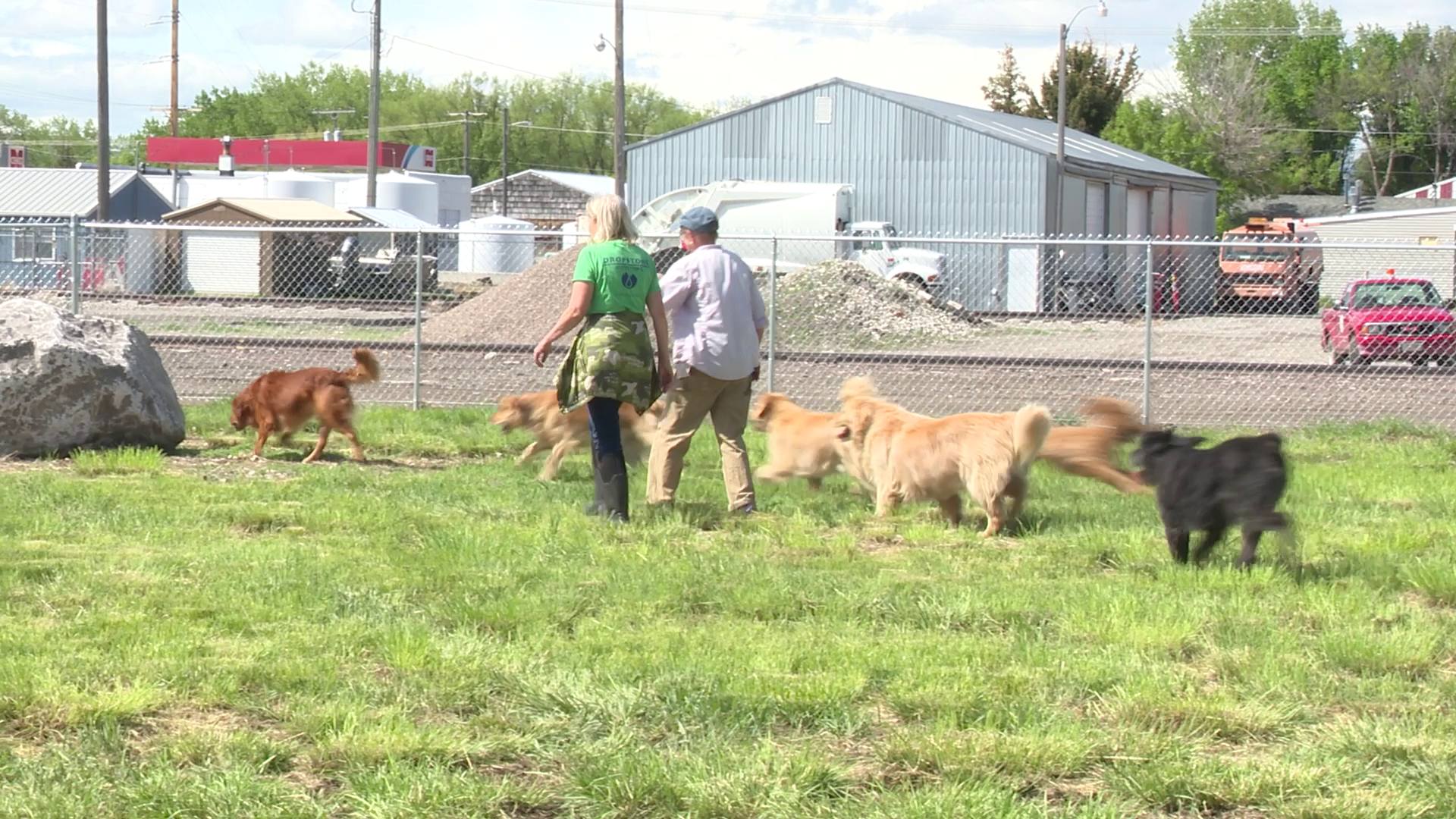 Choteau Dog Park