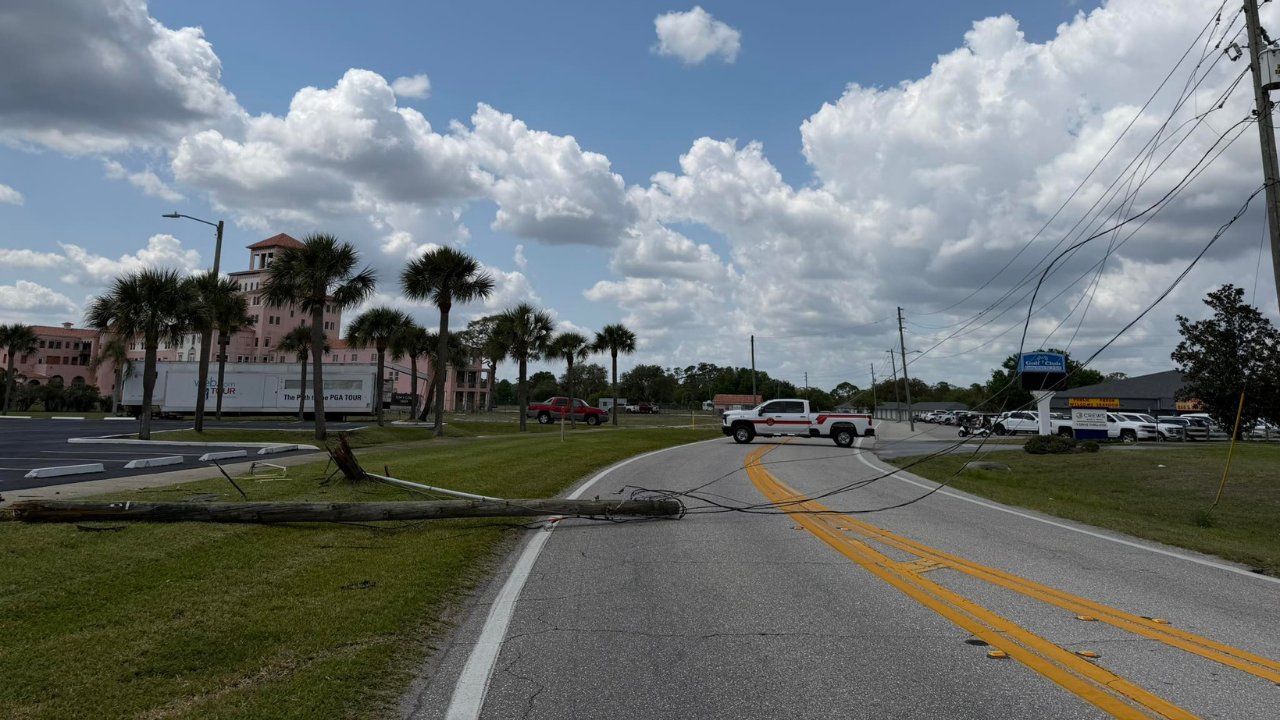 Sebring crash with power lines down
