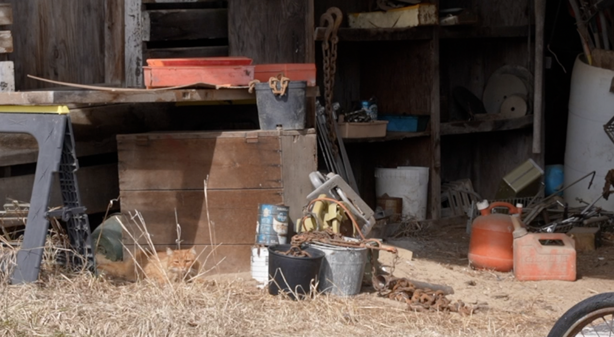 Against All Odds Cat Rescue has a barn placement program that finds home for outdoor cats.