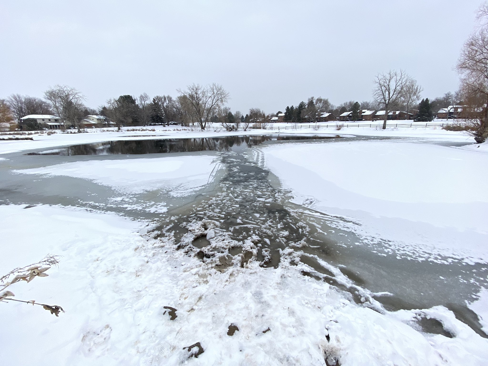 woman drowns in ice trying to rescue dog