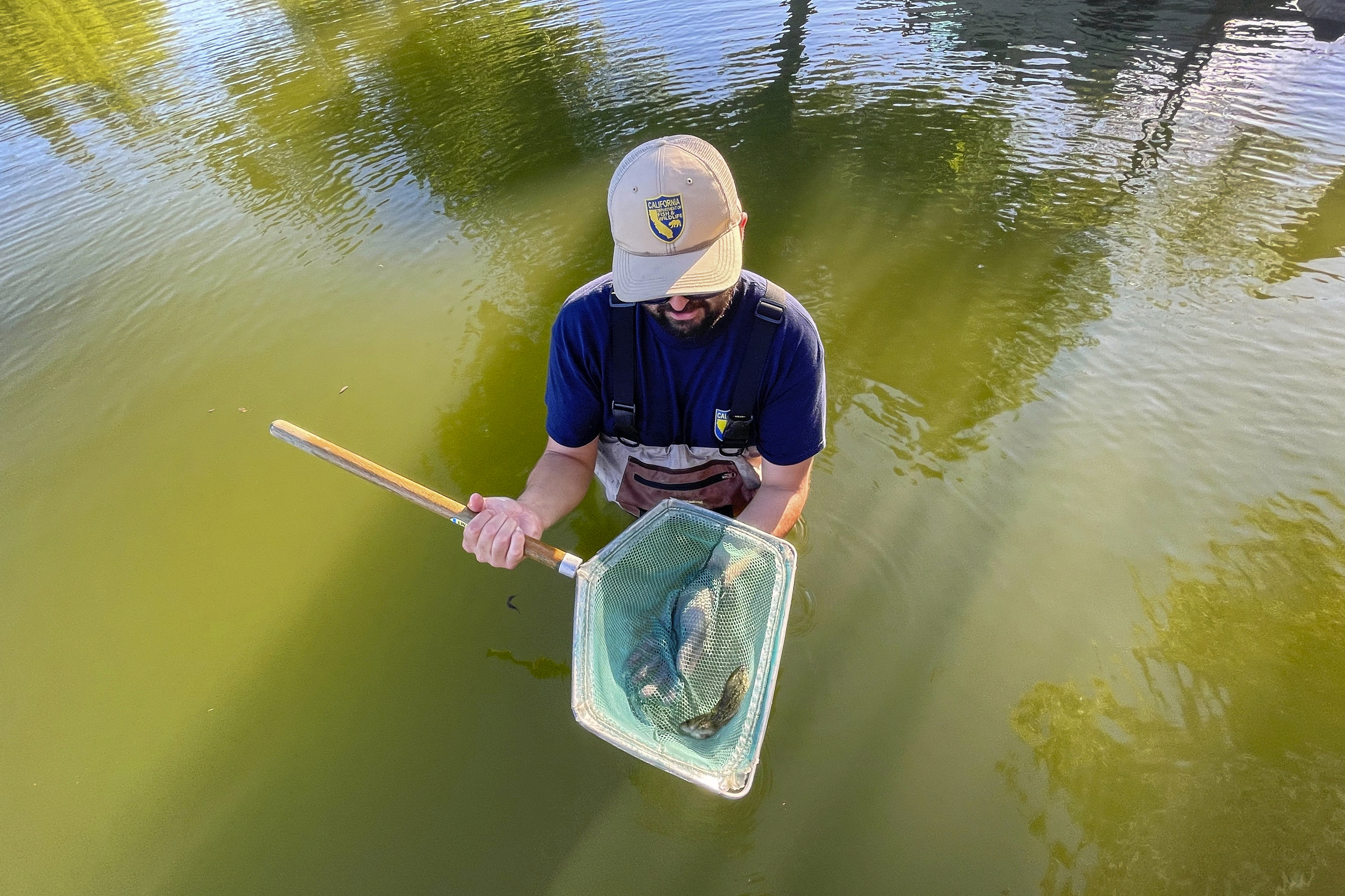 CORRECTION California Climate Change Angling