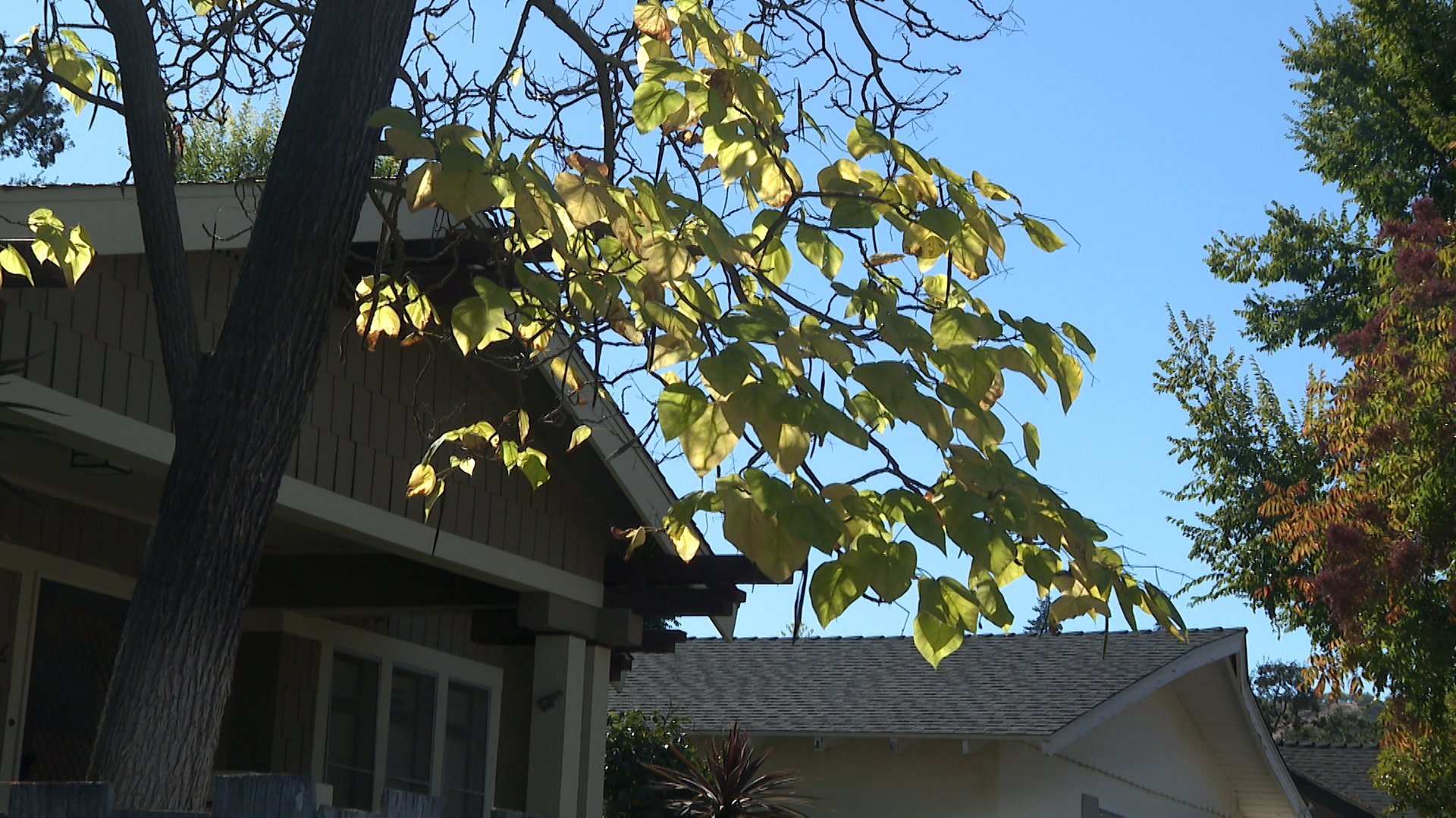 Paso Robles Housing
