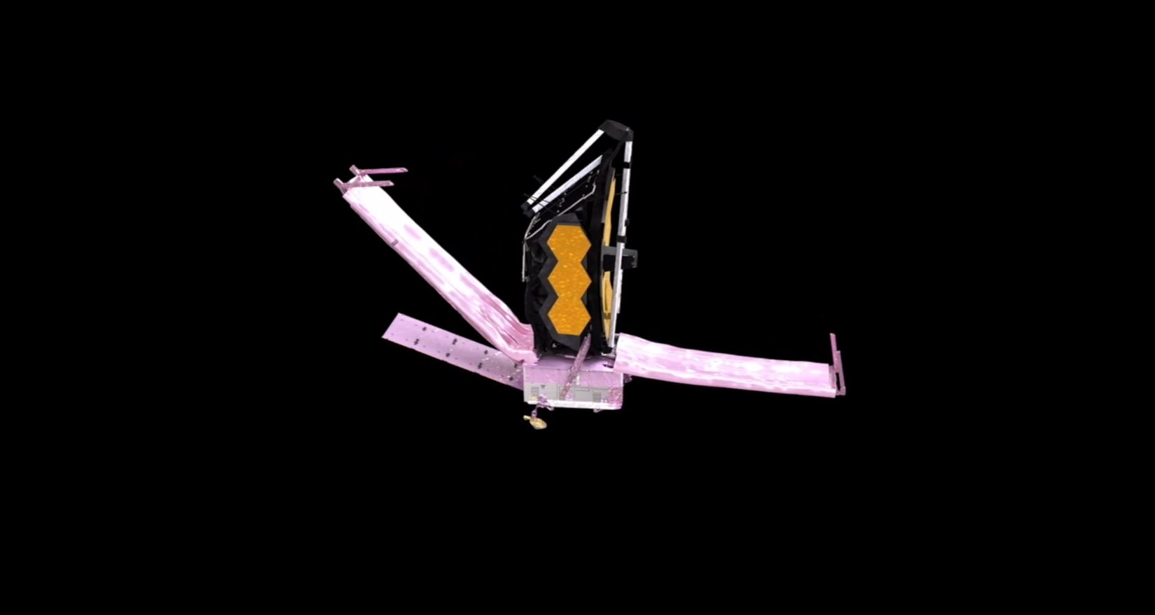 JAMES WEB WEB.JPG