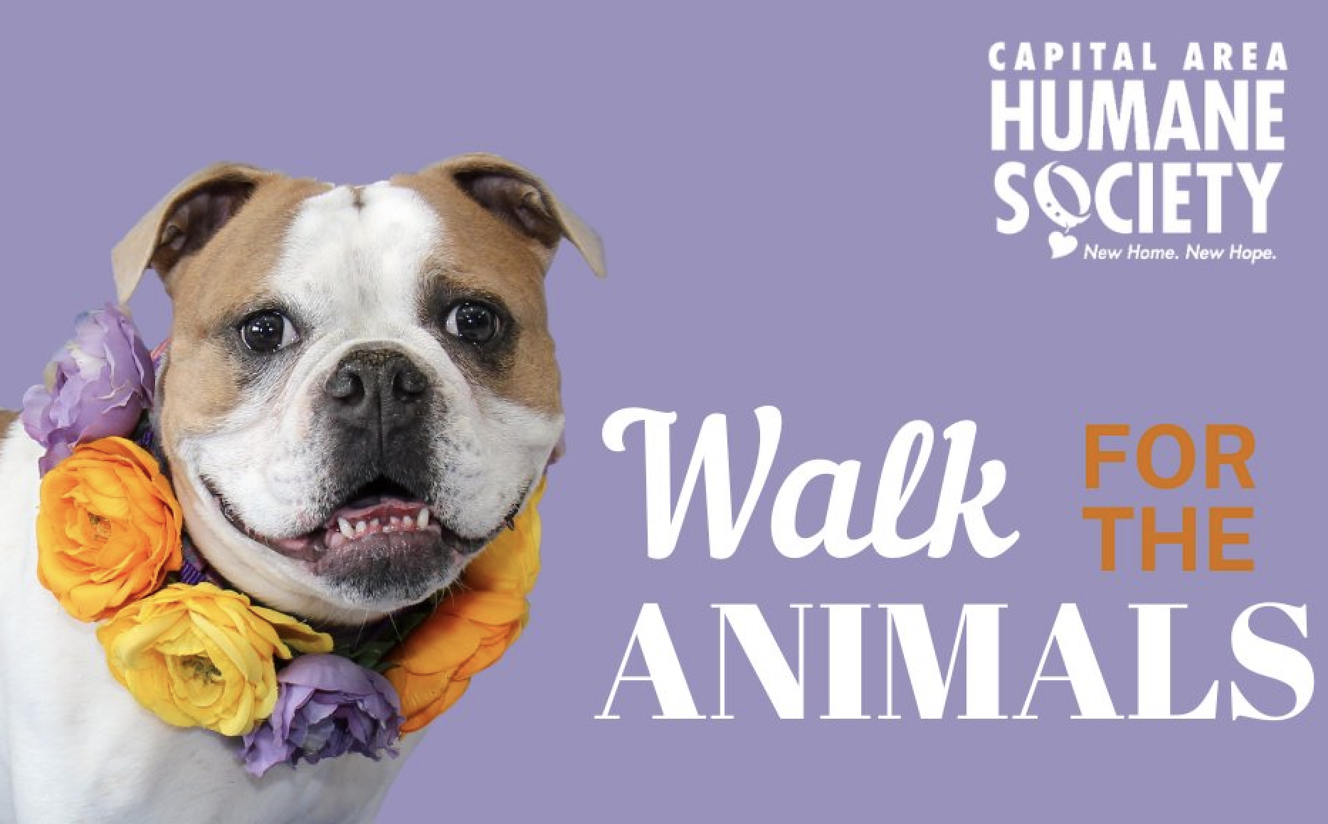 CAHS Walk for the Animals