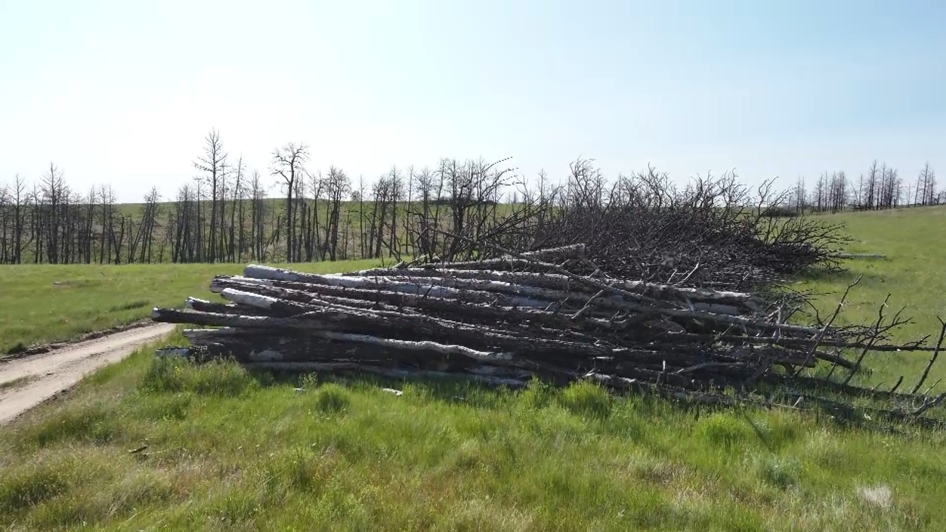 Still 2025-06-09 142213_1.17.1.jpg