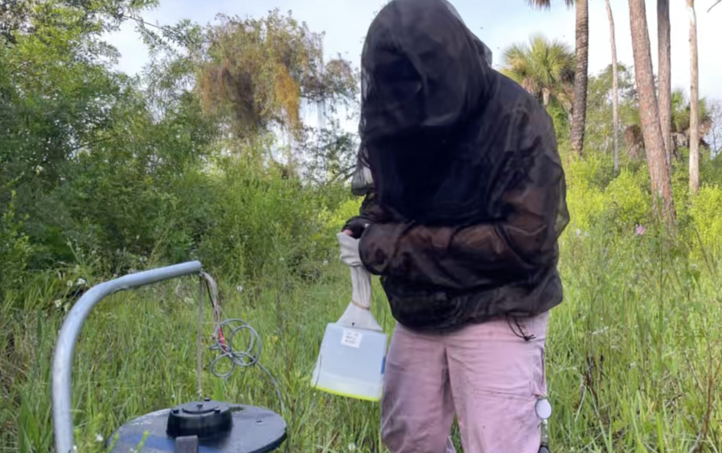 Surveying mosquitos in Collier County