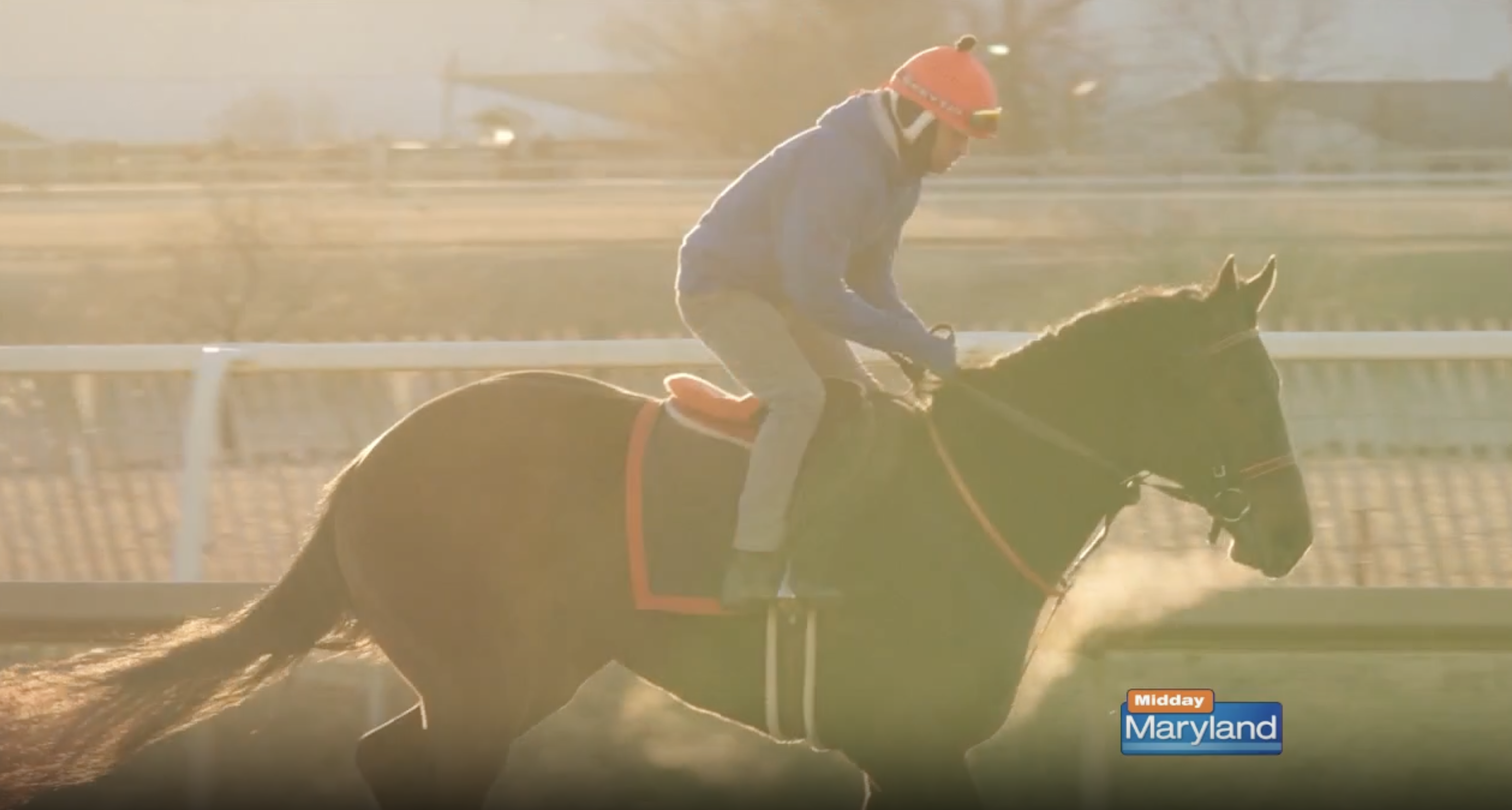 Get Ready for Preakness Preview Day at Laurel Park