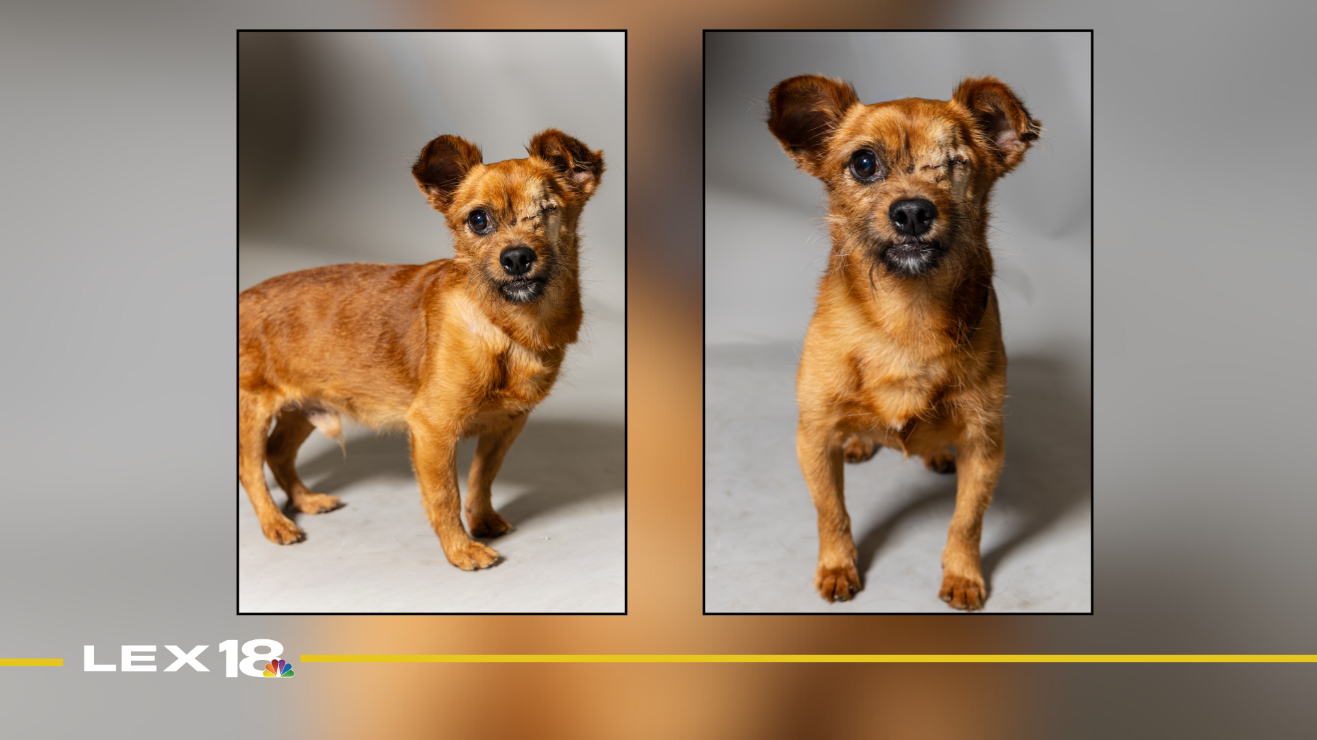 Featured Image Custom Edit (27).png