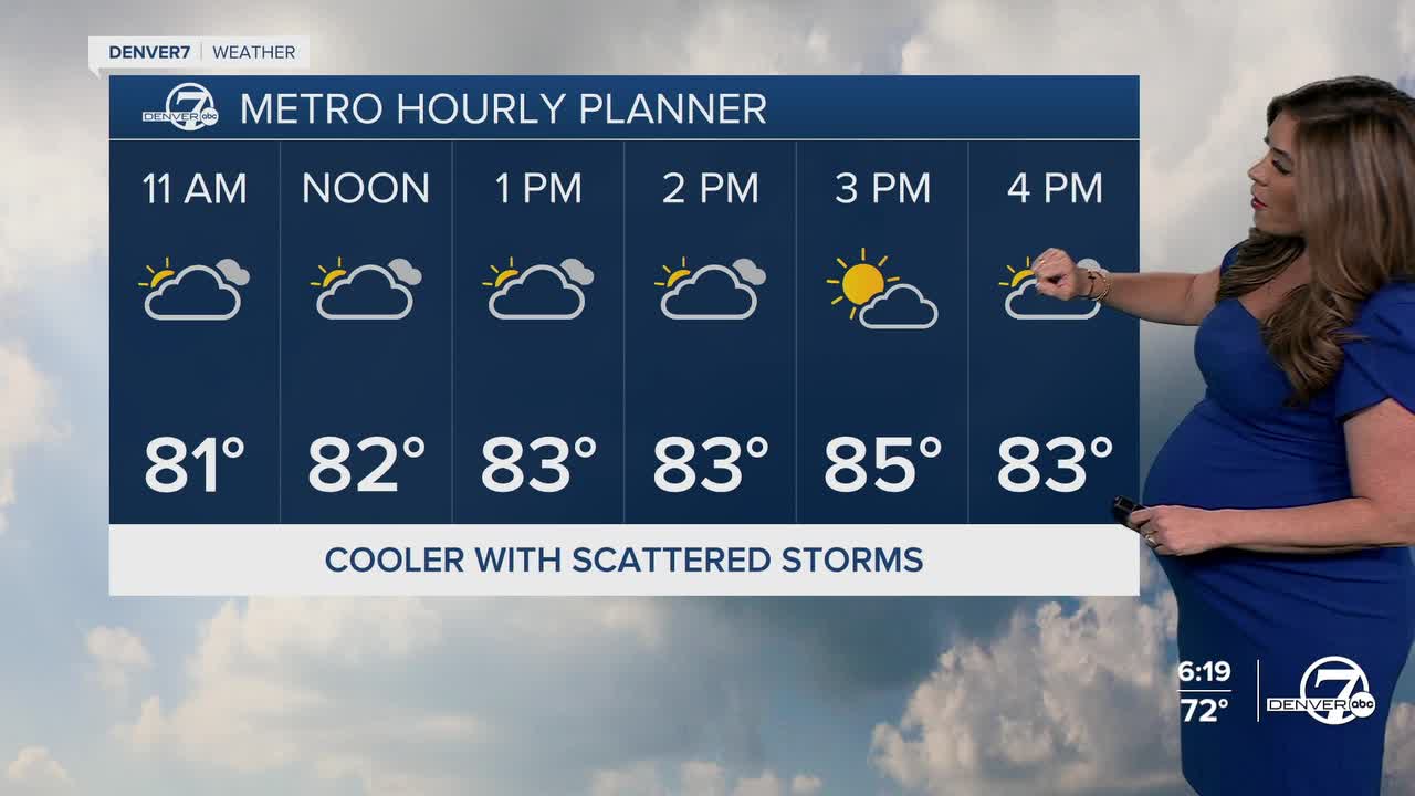 Denver's Hourly Planner for Wednesday