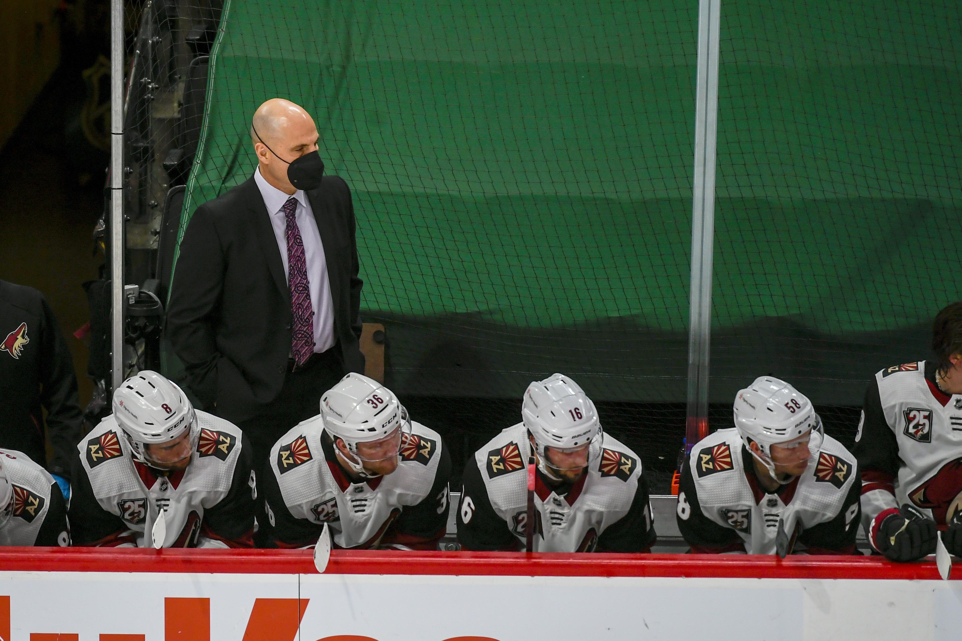 Coyotes Wild Hockey