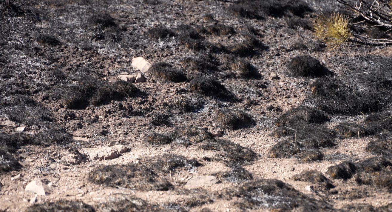 "We had five minutes to get out" Custer County fire near scare for many homeowners