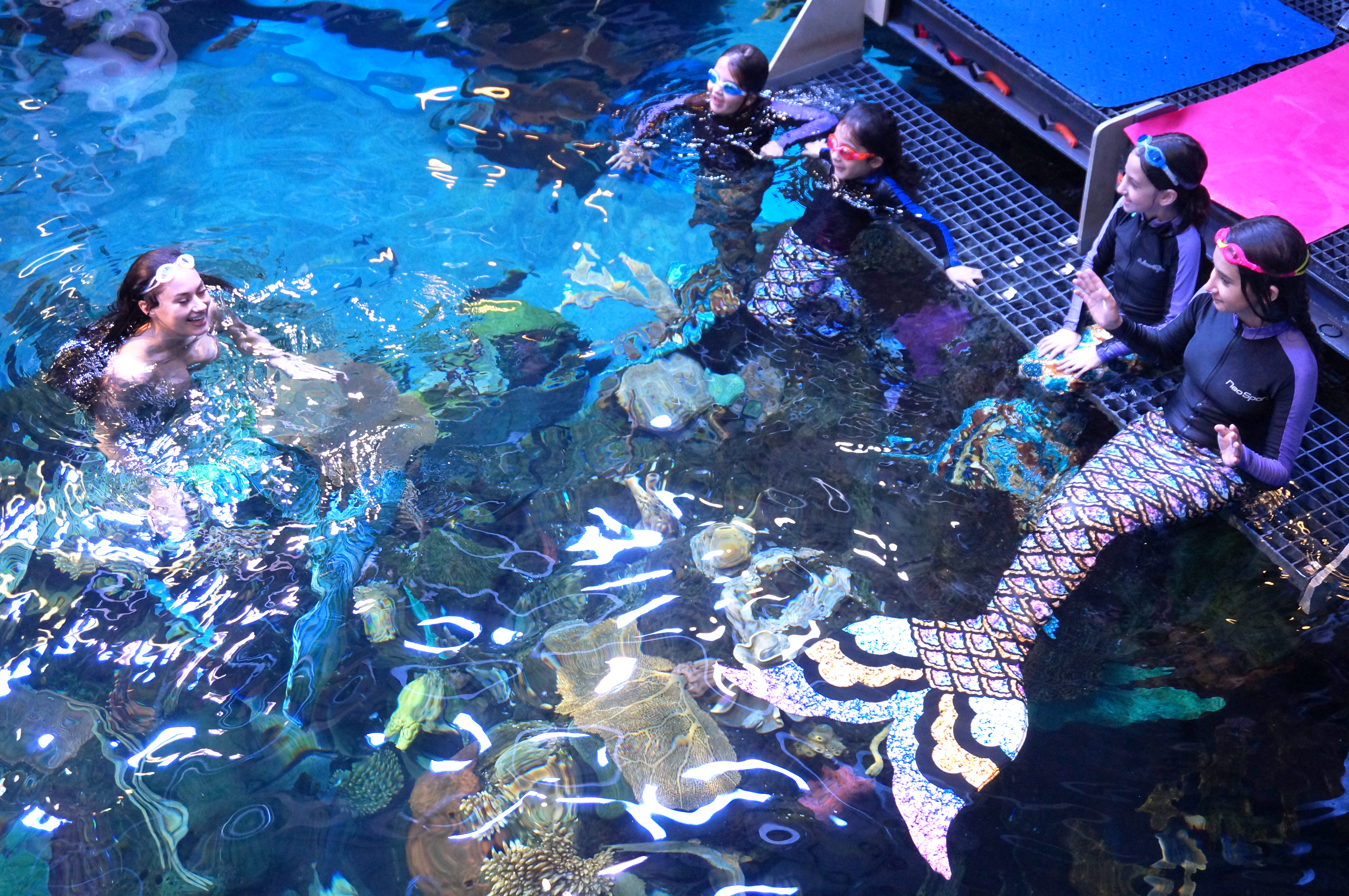 Mermaid School at Silverton Casino