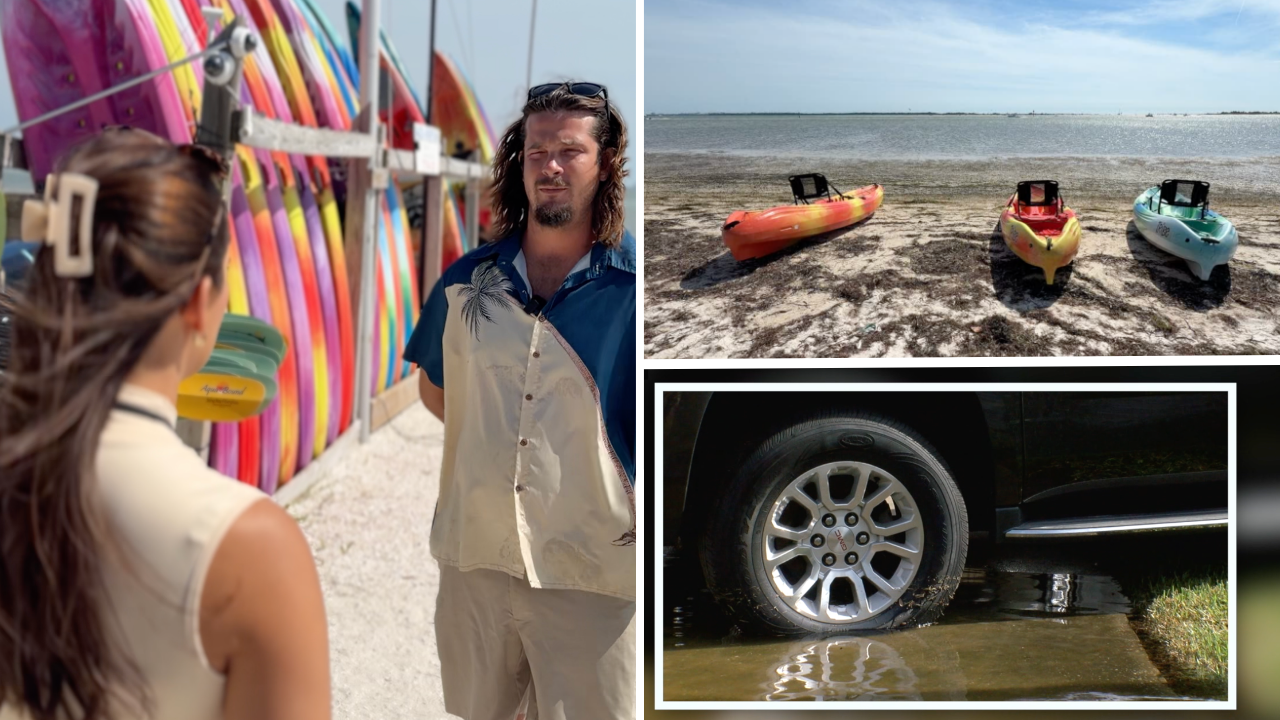 'It looks very extreme': Locals react to king tide as Pinellas County warns of coastal flooding dangers