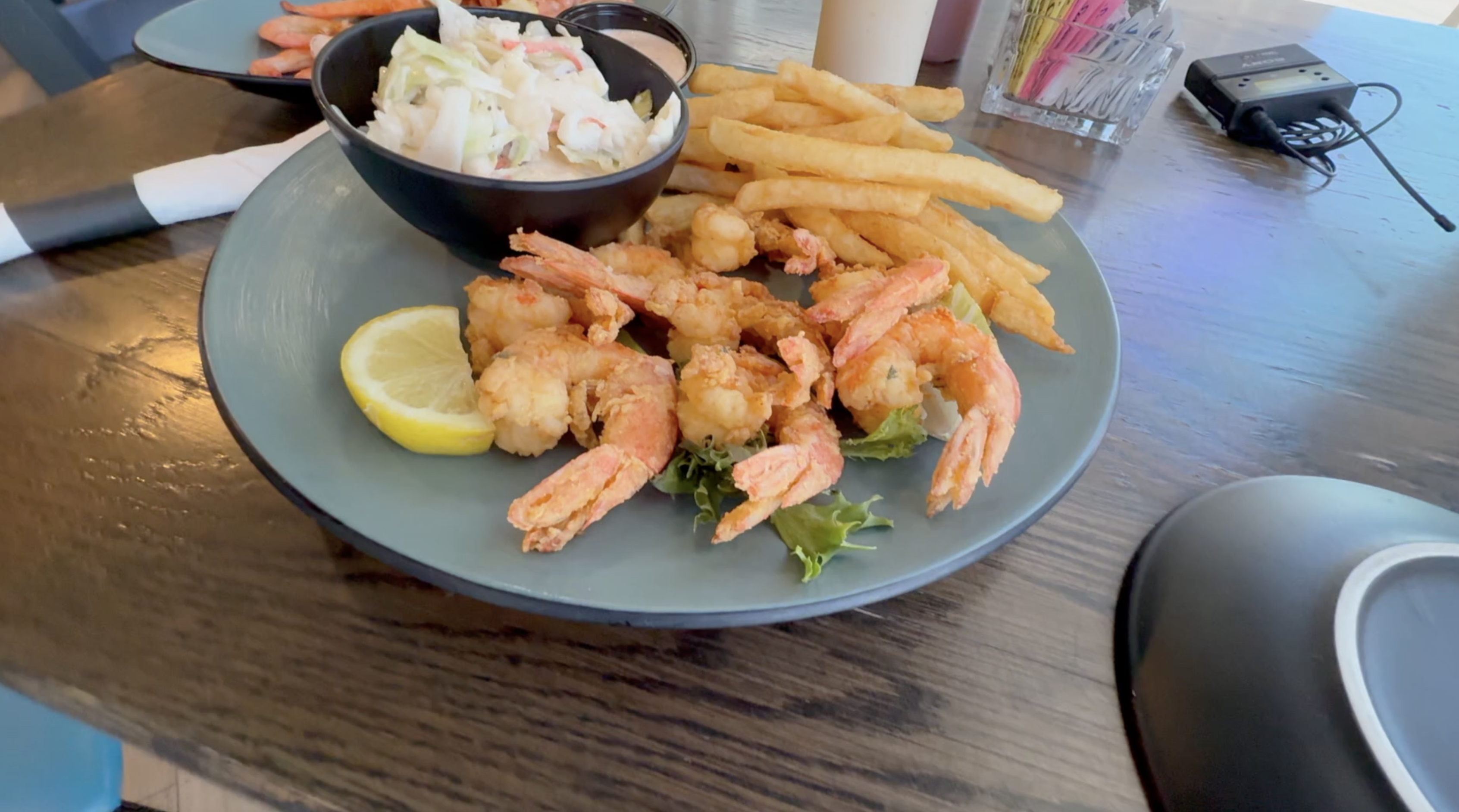 Shrimp Testing Round 2 OBX