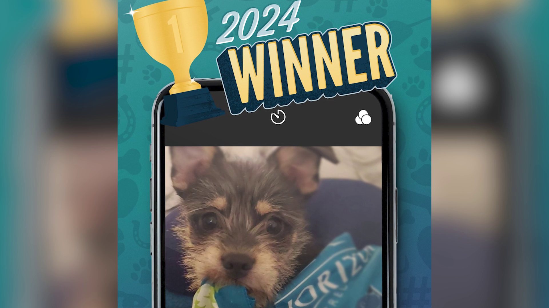 Great Falls Animal Shelter receives a $1K donation through Pet Paw-see contest
