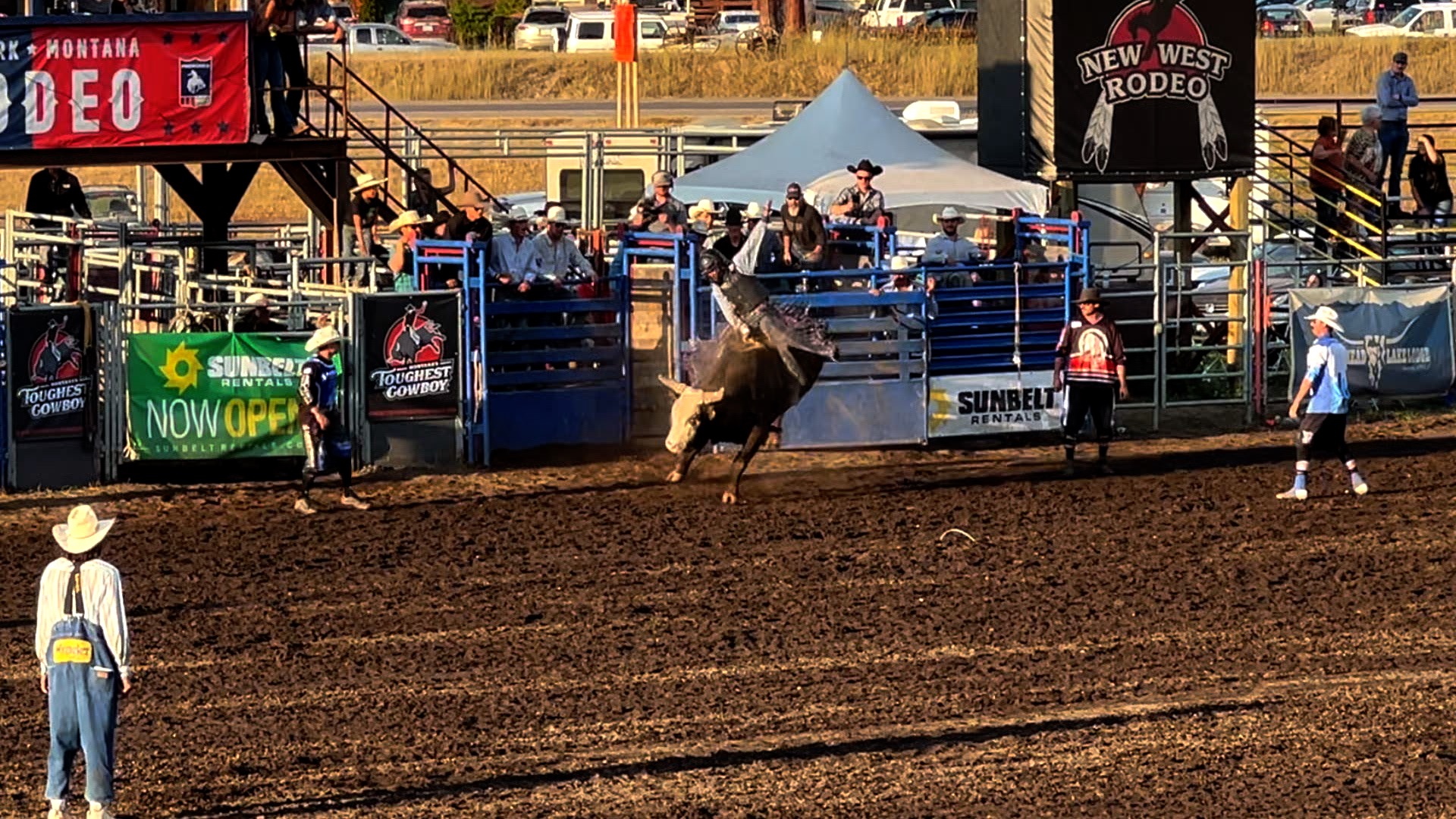 Bull Rider.jpg