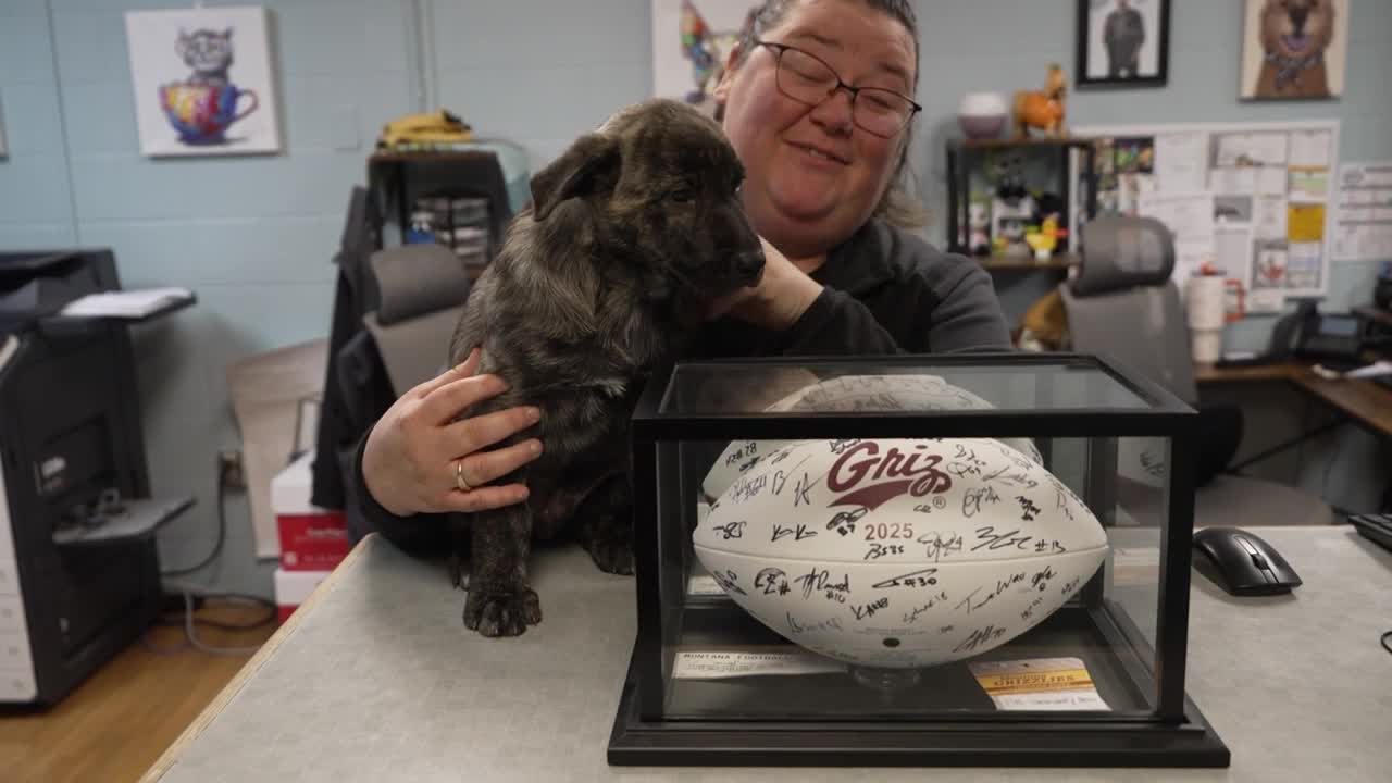 Laramie Smovir, Operations Manager of the City of Great Falls Animal Shelter